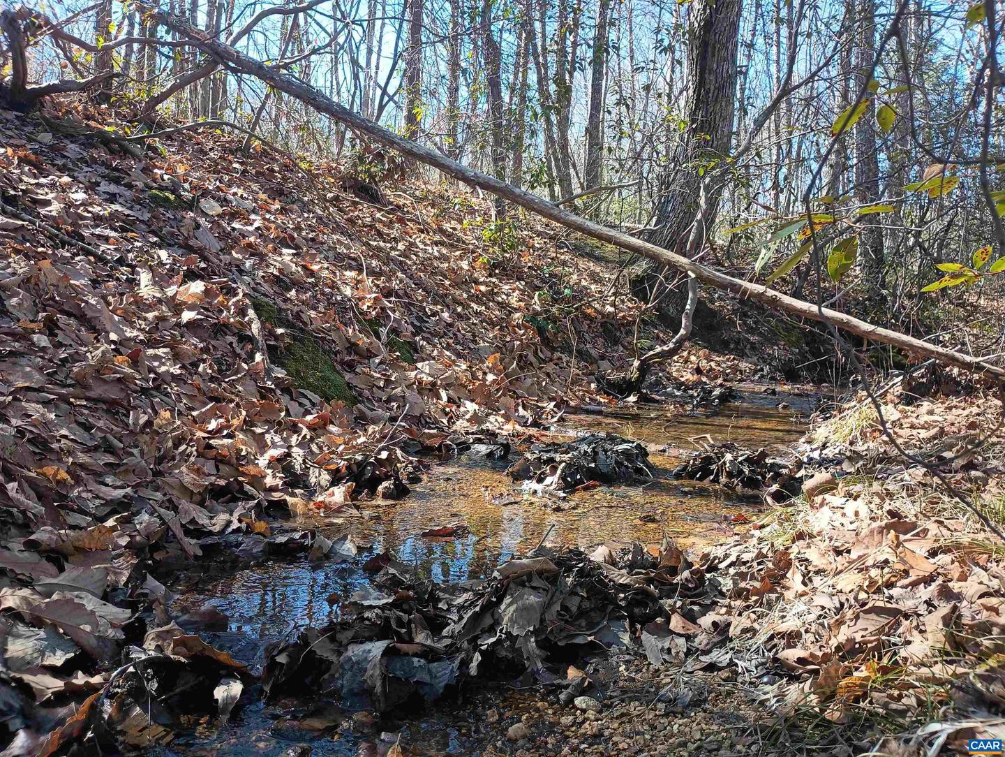 3901 MIDLAND RD, WINGINA, Virginia 24599, 2 Bedrooms Bedrooms, ,1 BathroomBathrooms,Residential,For sale,3901 MIDLAND RD,673762 MLS # 673762 3901 MIDLAND RD, WINGINA, Virginia 24599, 2 Bedrooms Bedrooms, ,1 BathroomBathrooms,Residential,For sale,3901 MIDLAND RD,673762 MLS # 673762