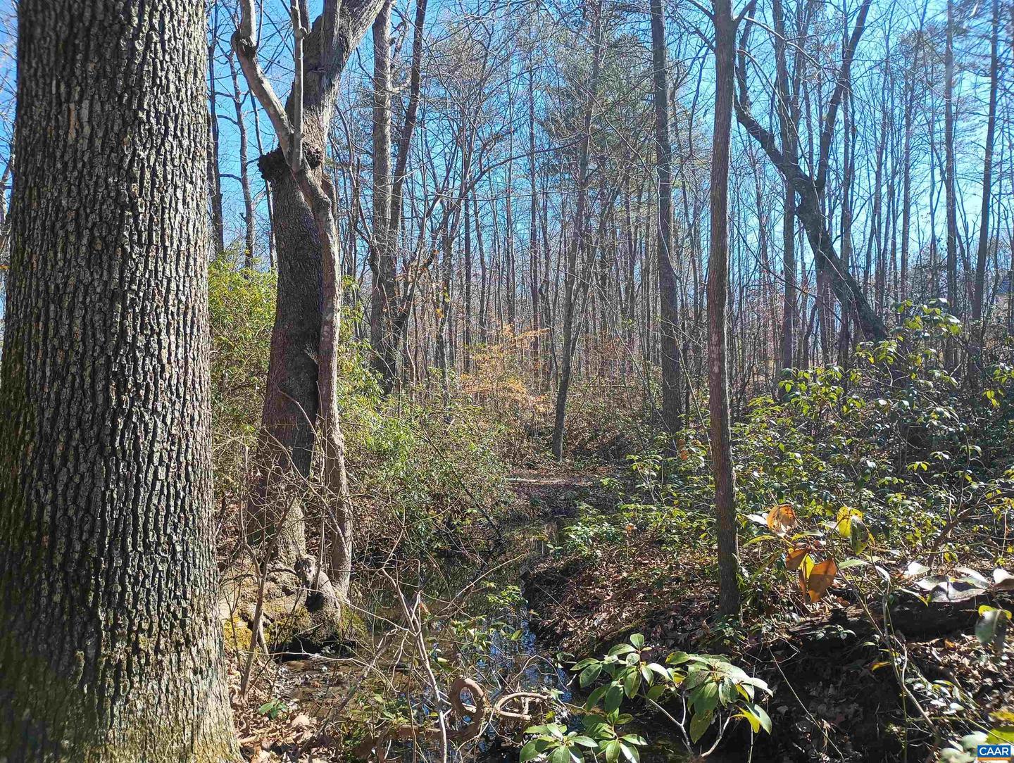 3901 MIDLAND RD, WINGINA, Virginia 24599, 2 Bedrooms Bedrooms, ,1 BathroomBathrooms,Residential,For sale,3901 MIDLAND RD,673762 MLS # 673762 3901 MIDLAND RD, WINGINA, Virginia 24599, 2 Bedrooms Bedrooms, ,1 BathroomBathrooms,Residential,For sale,3901 MIDLAND RD,673762 MLS # 673762