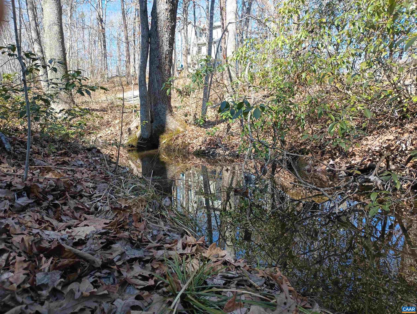 3901 MIDLAND RD, WINGINA, Virginia 24599, 2 Bedrooms Bedrooms, ,1 BathroomBathrooms,Residential,For sale,3901 MIDLAND RD,673762 MLS # 673762 3901 MIDLAND RD, WINGINA, Virginia 24599, 2 Bedrooms Bedrooms, ,1 BathroomBathrooms,Residential,For sale,3901 MIDLAND RD,673762 MLS # 673762