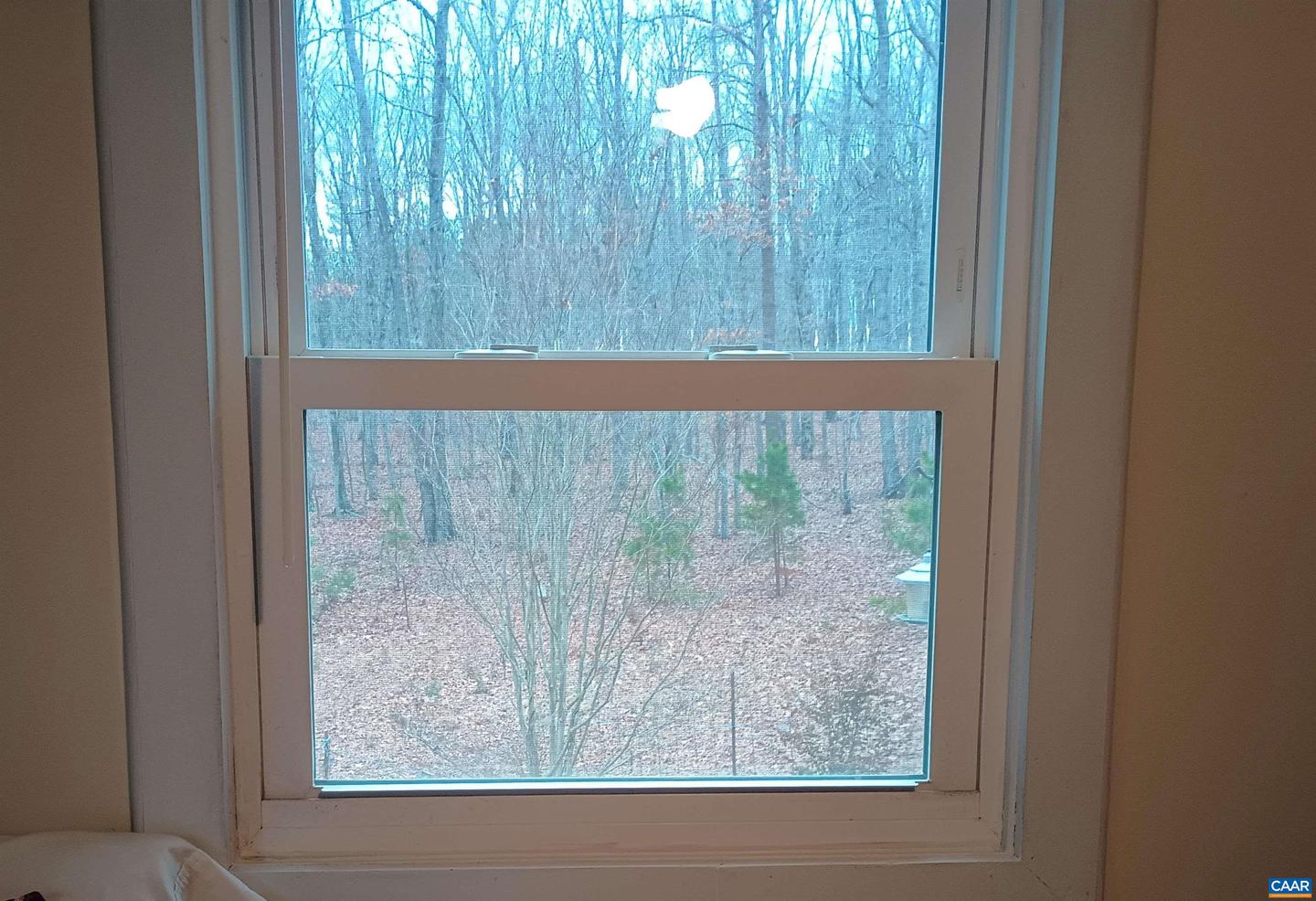 3901 MIDLAND RD, WINGINA, Virginia 24599, 2 Bedrooms Bedrooms, ,1 BathroomBathrooms,Residential,For sale,3901 MIDLAND RD,673762 MLS # 673762 3901 MIDLAND RD, WINGINA, Virginia 24599, 2 Bedrooms Bedrooms, ,1 BathroomBathrooms,Residential,For sale,3901 MIDLAND RD,673762 MLS # 673762