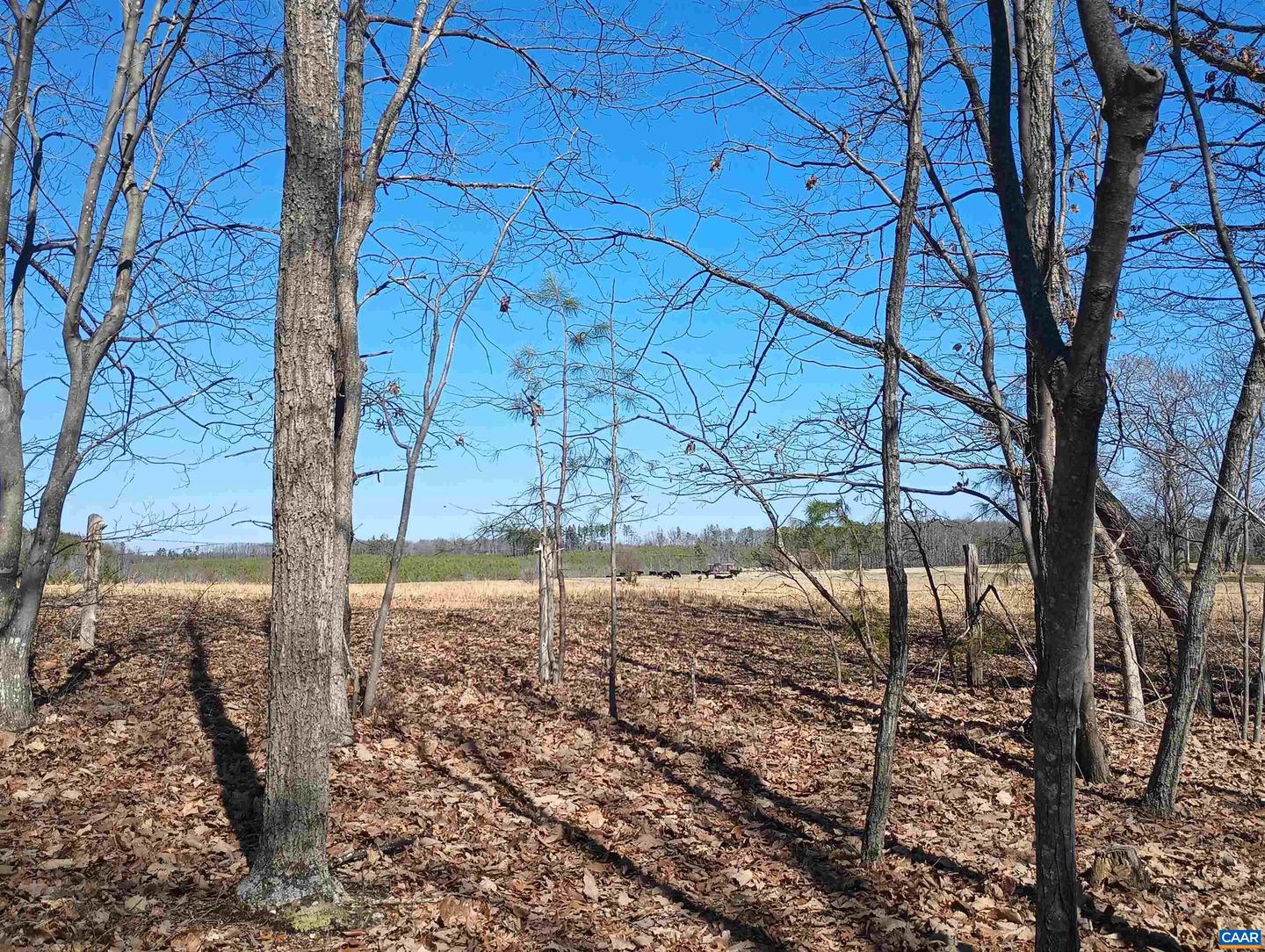 3901 MIDLAND RD, WINGINA, Virginia 24599, 2 Bedrooms Bedrooms, ,1 BathroomBathrooms,Residential,For sale,3901 MIDLAND RD,673762 MLS # 673762 3901 MIDLAND RD, WINGINA, Virginia 24599, 2 Bedrooms Bedrooms, ,1 BathroomBathrooms,Residential,For sale,3901 MIDLAND RD,673762 MLS # 673762