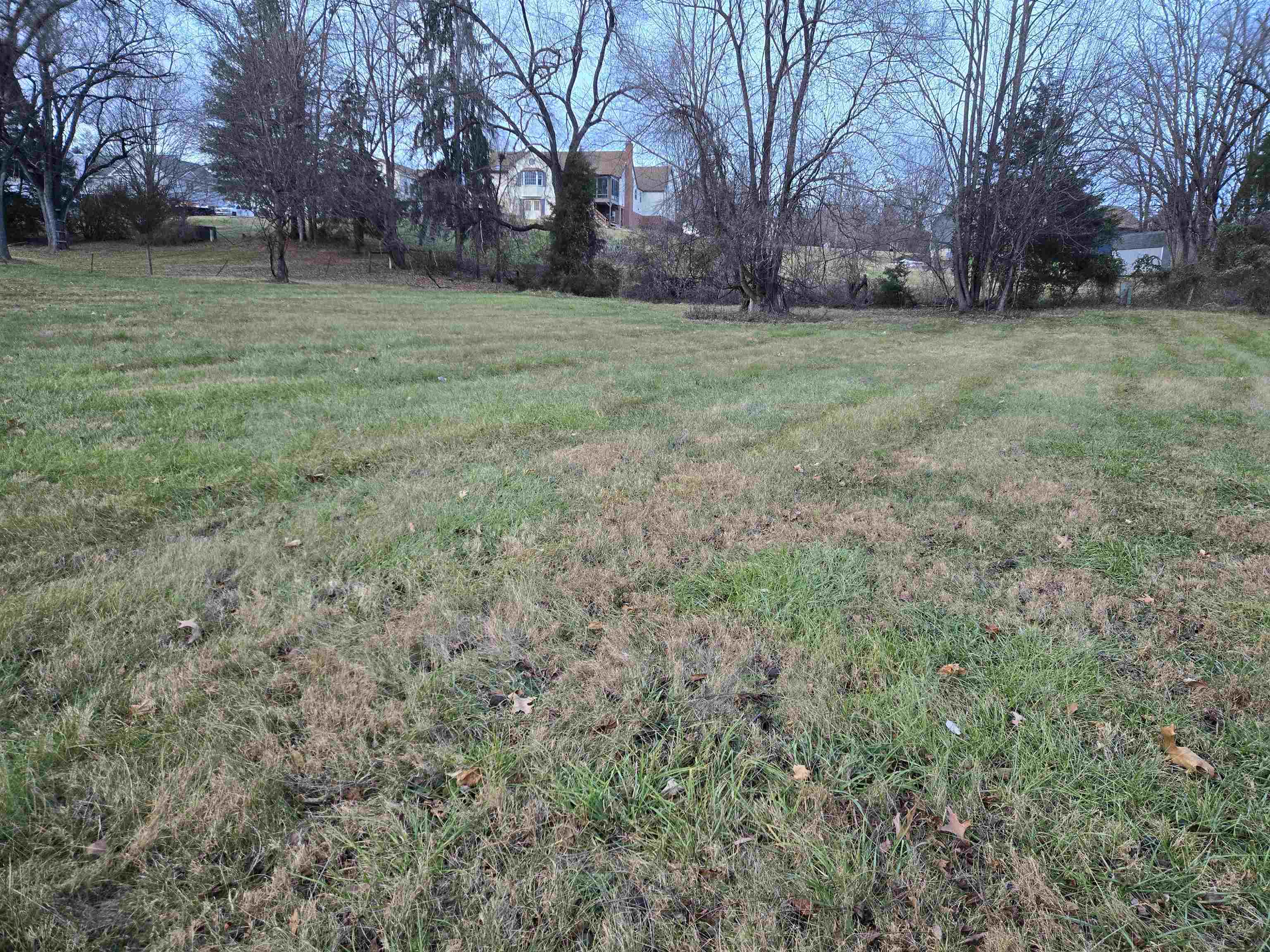 TBD JAMES CRAWFORD LN, MOUNT SIDNEY, Virginia 24467, ,Land,TBD JAMES CRAWFORD LN,671969 MLS # 671969
