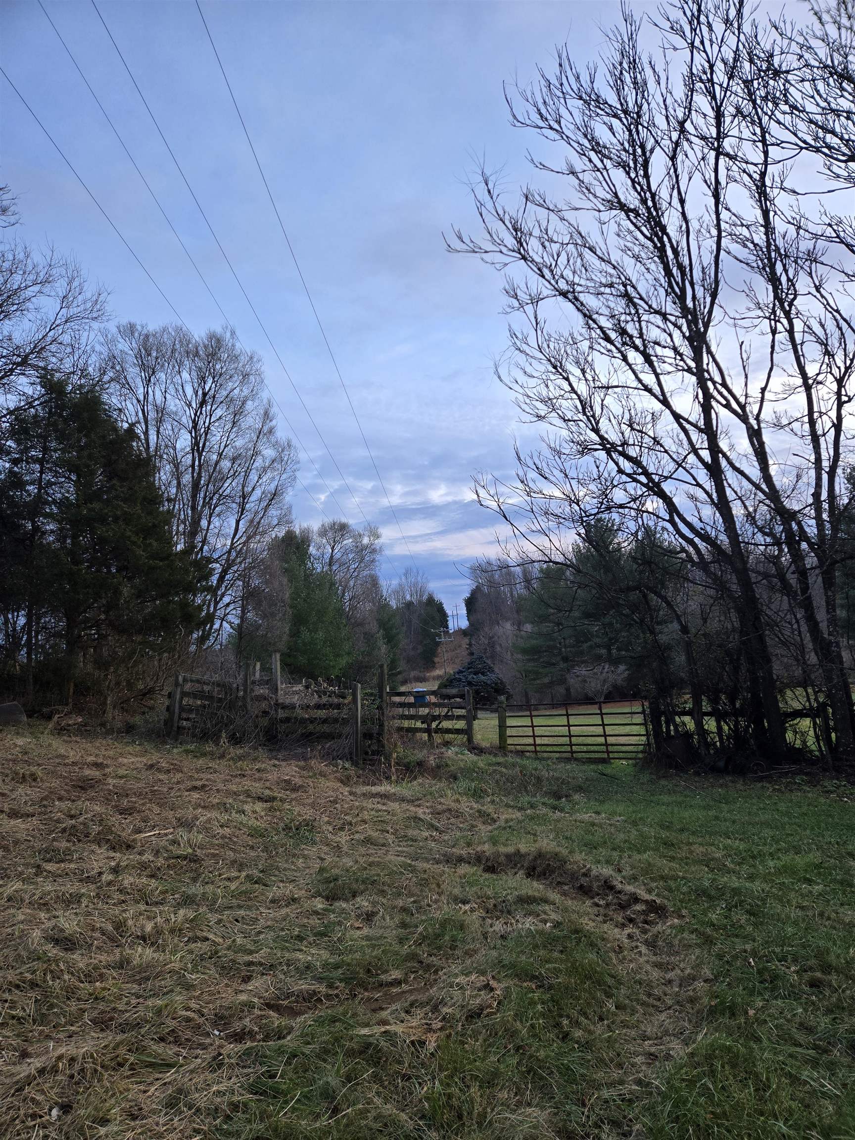 TBD JAMES CRAWFORD LN, MOUNT SIDNEY, Virginia 24467, ,Land,TBD JAMES CRAWFORD LN,671969 MLS # 671969