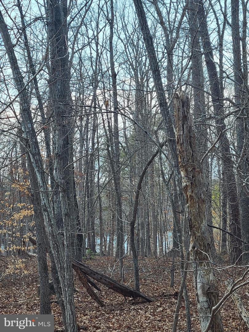 0 LAKEFRONT CT, ORANGE, Virginia 22960, ,Land,For sale,0 LAKEFRONT CT,VAOR2013432 MLS # VAOR2013432 0 LAKEFRONT CT, ORANGE, Virginia 22960, ,Land,For sale,0 LAKEFRONT CT,VAOR2013432 MLS # VAOR2013432