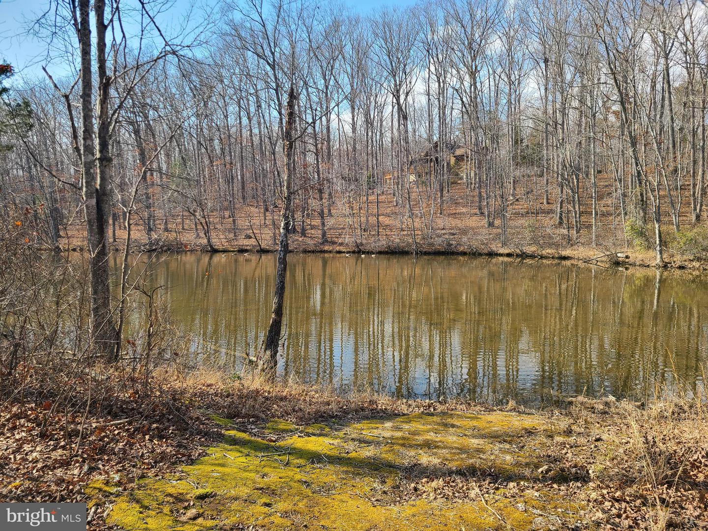 0 LAKEFRONT CT, ORANGE, Virginia 22960, ,Land,For sale,0 LAKEFRONT CT,VAOR2013432 MLS # VAOR2013432 0 LAKEFRONT CT, ORANGE, Virginia 22960, ,Land,For sale,0 LAKEFRONT CT,VAOR2013432 MLS # VAOR2013432