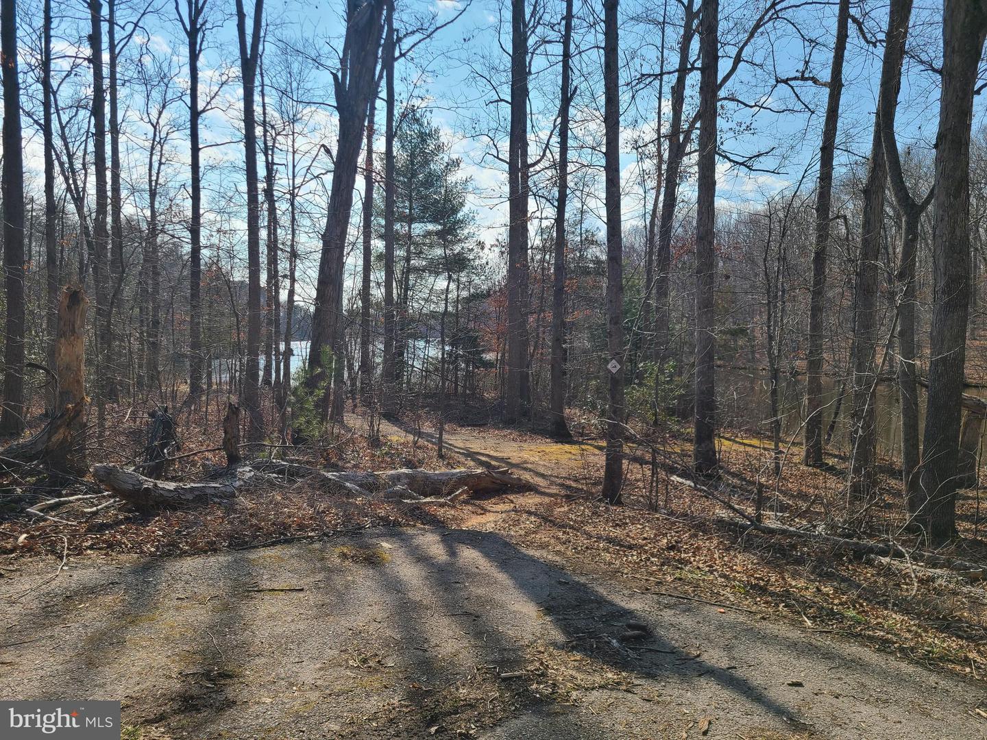 0 LAKEFRONT CT, ORANGE, Virginia 22960, ,Land,For sale,0 LAKEFRONT CT,VAOR2013432 MLS # VAOR2013432 0 LAKEFRONT CT, ORANGE, Virginia 22960, ,Land,For sale,0 LAKEFRONT CT,VAOR2013432 MLS # VAOR2013432