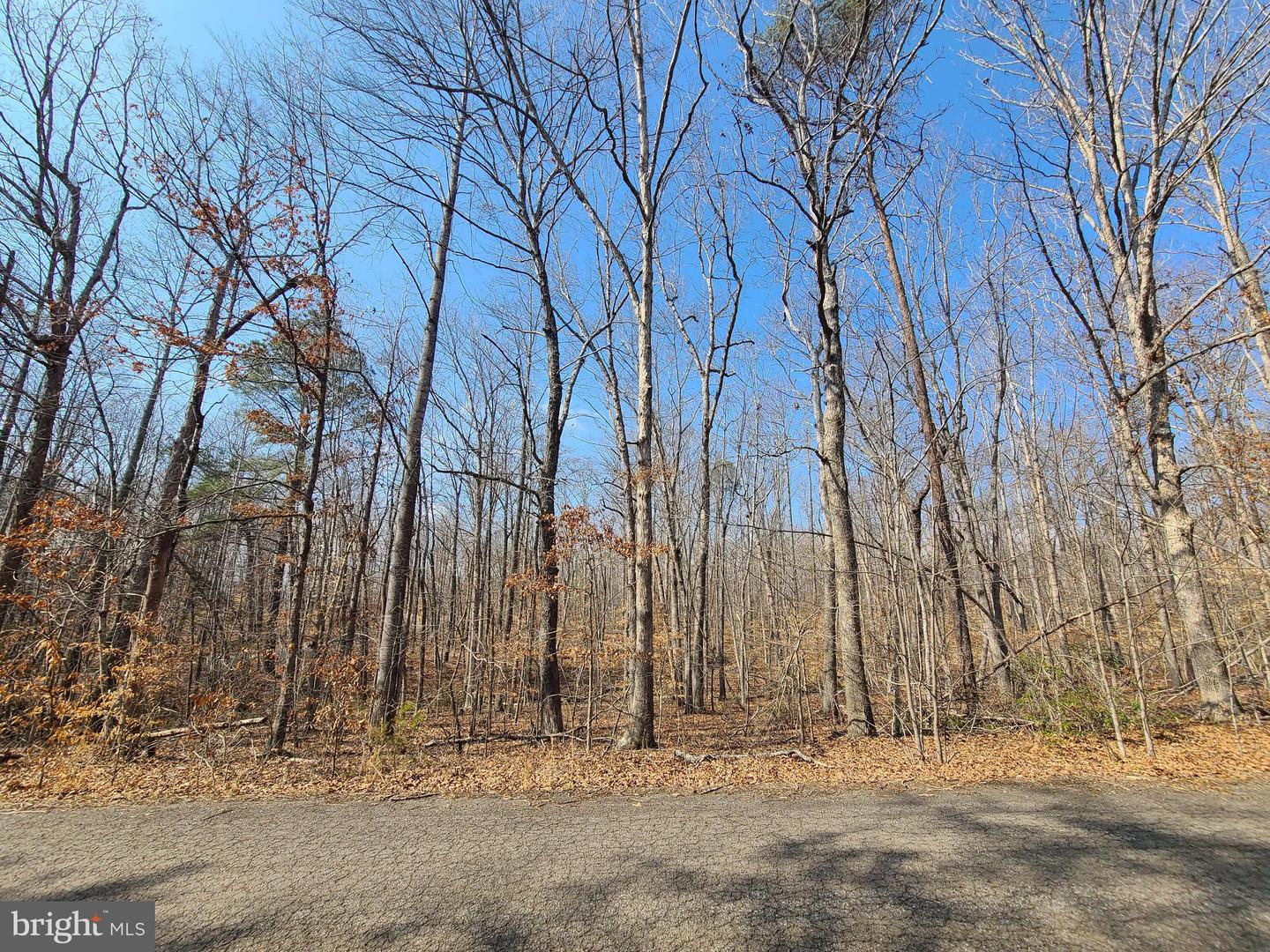 0 LAKEFRONT CT, ORANGE, Virginia 22960, ,Land,For sale,0 LAKEFRONT CT,VAOR2013432 MLS # VAOR2013432 0 LAKEFRONT CT, ORANGE, Virginia 22960, ,Land,For sale,0 LAKEFRONT CT,VAOR2013432 MLS # VAOR2013432