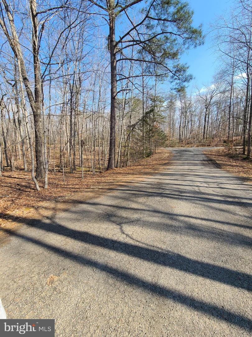 0 LAKEFRONT CT, ORANGE, Virginia 22960, ,Land,For sale,0 LAKEFRONT CT,VAOR2013432 MLS # VAOR2013432 0 LAKEFRONT CT, ORANGE, Virginia 22960, ,Land,For sale,0 LAKEFRONT CT,VAOR2013432 MLS # VAOR2013432