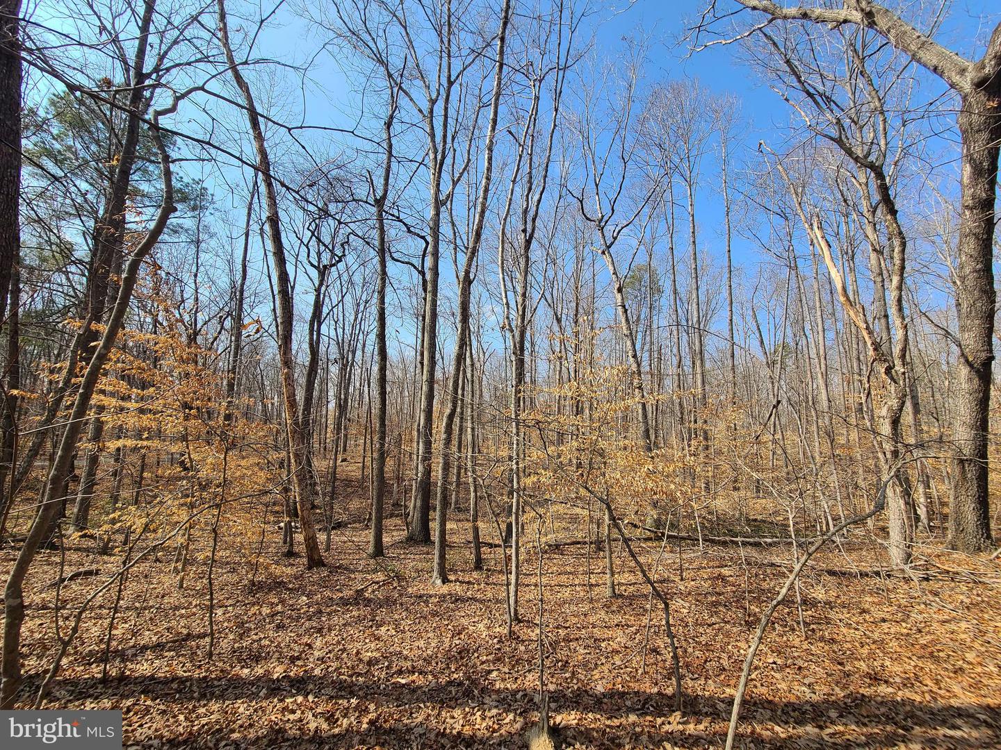 0 LAKEFRONT CT, ORANGE, Virginia 22960, ,Land,For sale,0 LAKEFRONT CT,VAOR2013432 MLS # VAOR2013432 0 LAKEFRONT CT, ORANGE, Virginia 22960, ,Land,For sale,0 LAKEFRONT CT,VAOR2013432 MLS # VAOR2013432