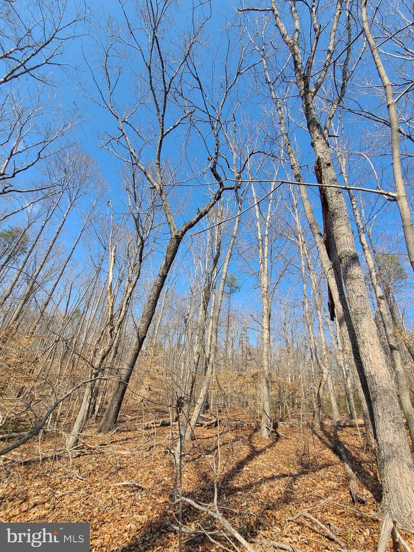 0 LAKEFRONT CT, ORANGE, Virginia 22960, ,Land,For sale,0 LAKEFRONT CT,VAOR2013432 MLS # VAOR2013432 0 LAKEFRONT CT, ORANGE, Virginia 22960, ,Land,For sale,0 LAKEFRONT CT,VAOR2013432 MLS # VAOR2013432