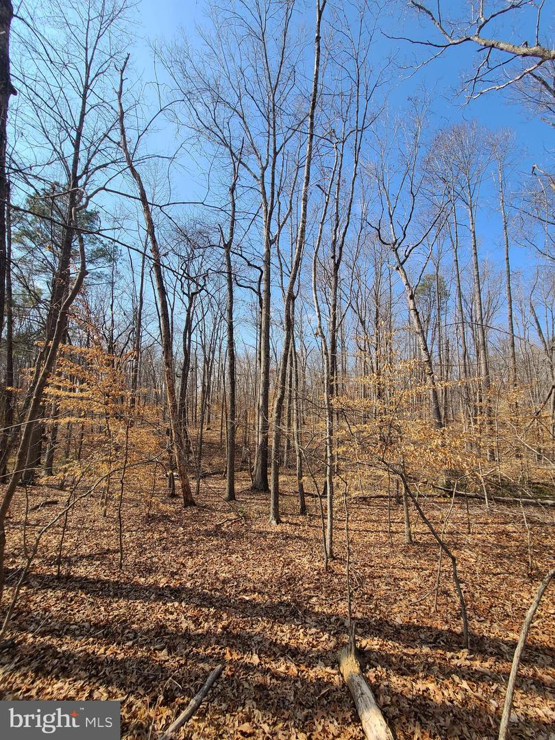 0 LAKEFRONT CT, ORANGE, Virginia 22960, ,Land,For sale,0 LAKEFRONT CT,VAOR2013432 MLS # VAOR2013432 0 LAKEFRONT CT, ORANGE, Virginia 22960, ,Land,For sale,0 LAKEFRONT CT,VAOR2013432 MLS # VAOR2013432