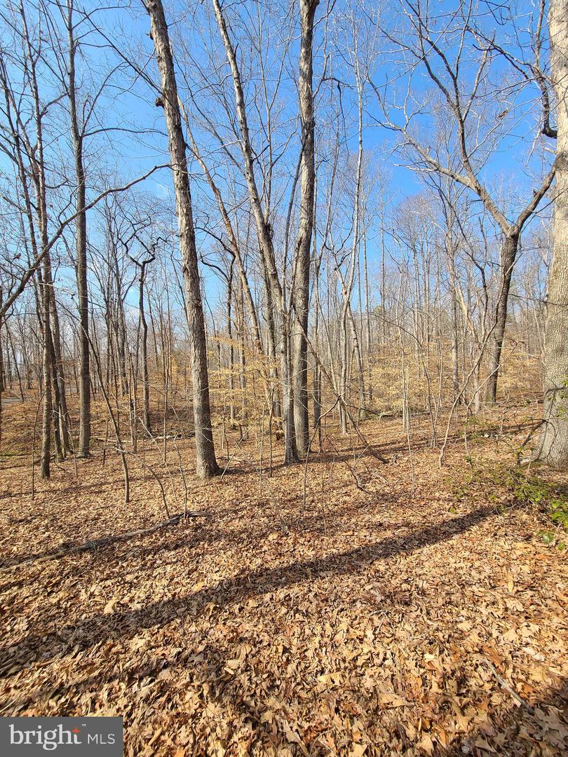 0 LAKEFRONT CT, ORANGE, Virginia 22960, ,Land,For sale,0 LAKEFRONT CT,VAOR2013432 MLS # VAOR2013432 0 LAKEFRONT CT, ORANGE, Virginia 22960, ,Land,For sale,0 LAKEFRONT CT,VAOR2013432 MLS # VAOR2013432