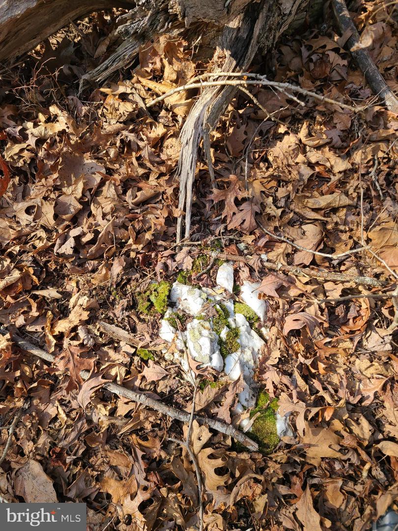 0 LAKEFRONT CT, ORANGE, Virginia 22960, ,Land,For sale,0 LAKEFRONT CT,VAOR2013432 MLS # VAOR2013432 0 LAKEFRONT CT, ORANGE, Virginia 22960, ,Land,For sale,0 LAKEFRONT CT,VAOR2013432 MLS # VAOR2013432