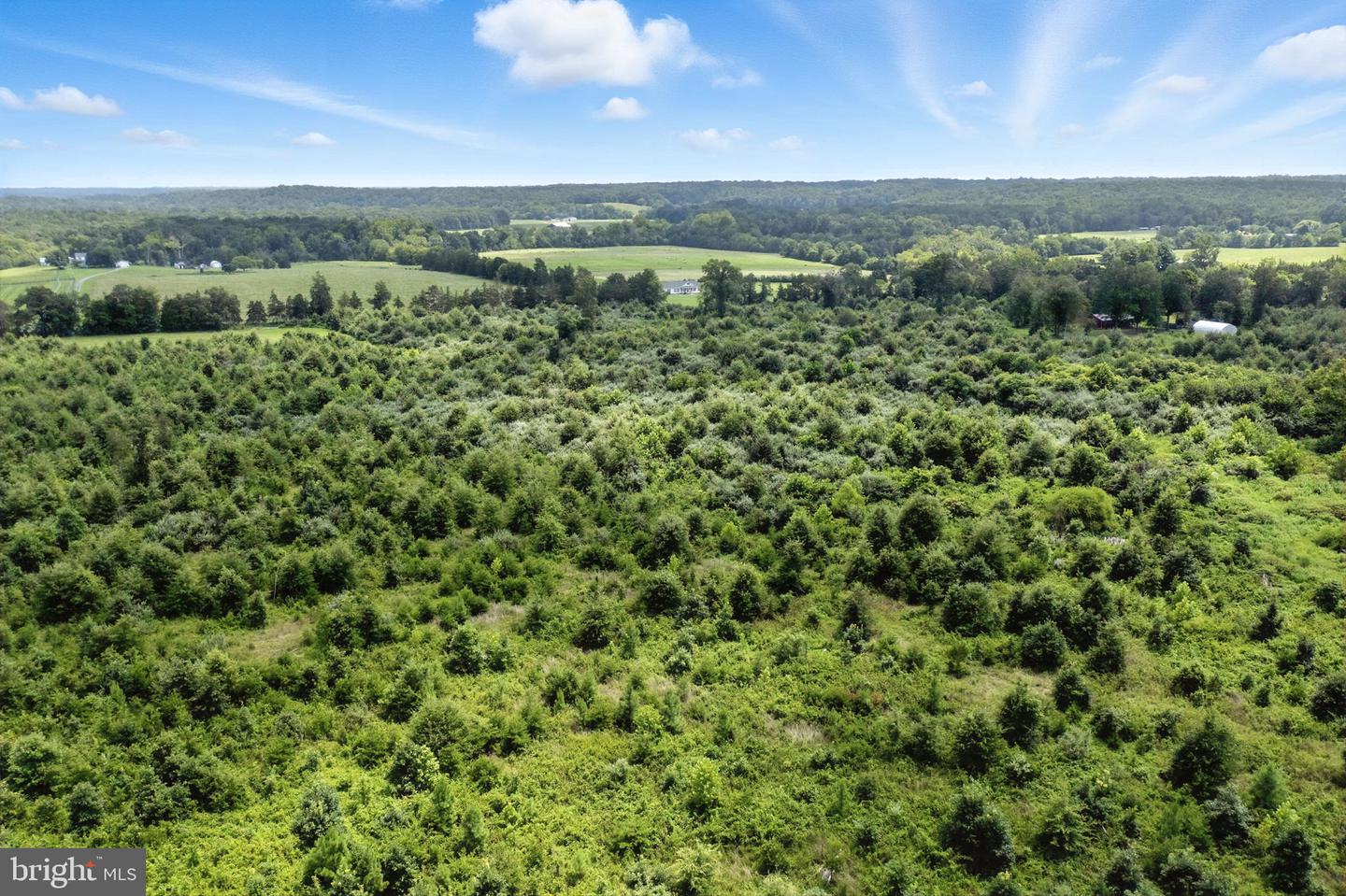 18172 YOUNGS LN, ELKWOOD, Virginia 22718, 3 Bedrooms Bedrooms, ,1 BathroomBathrooms,Residential,For sale,18172 YOUNGS LN,VACU2012788 MLS # VACU2012788 18172 YOUNGS LN, ELKWOOD, Virginia 22718, 3 Bedrooms Bedrooms, ,1 BathroomBathrooms,Residential,For sale,18172 YOUNGS LN,VACU2012788 MLS # VACU2012788