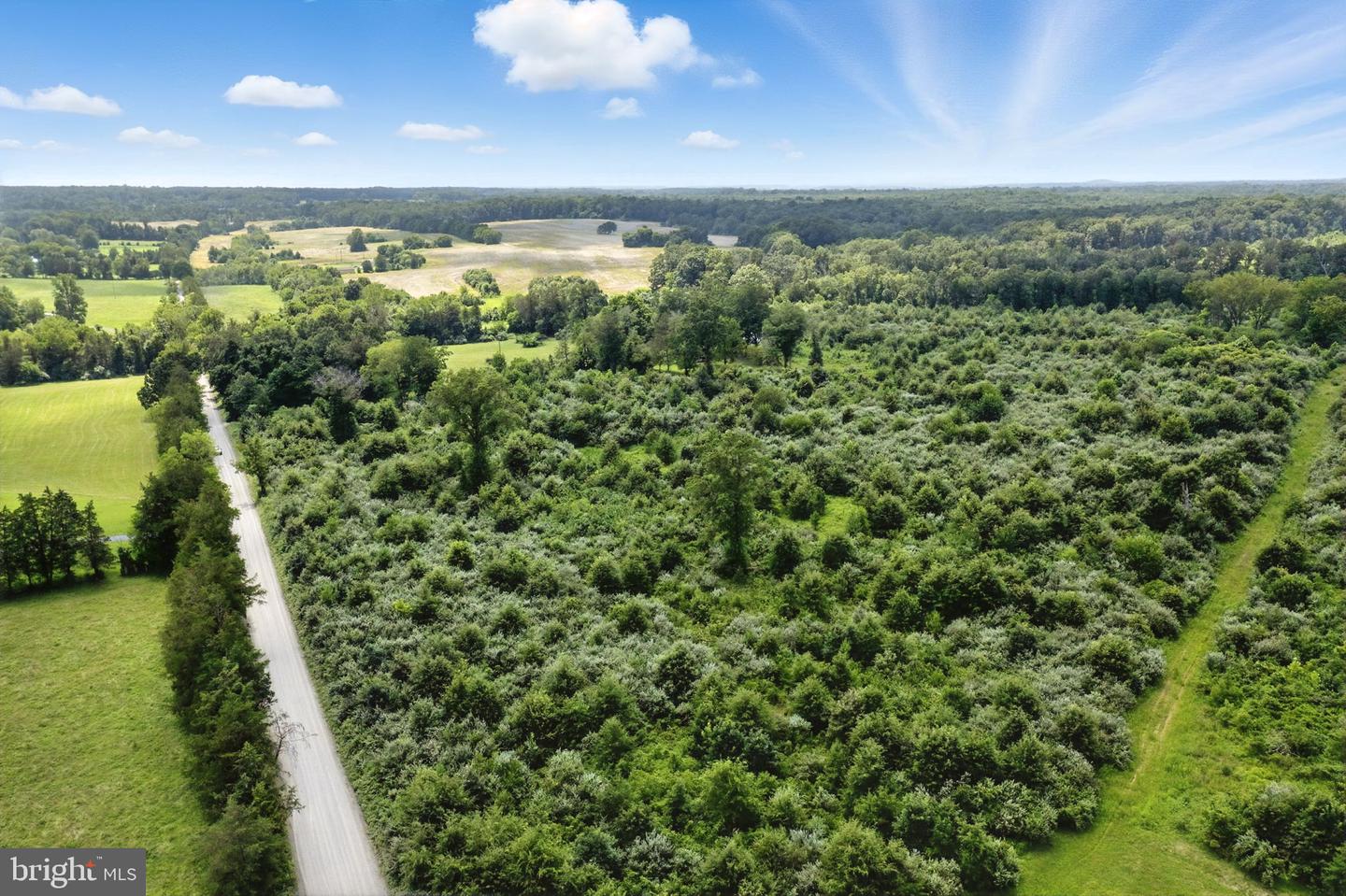 18172 YOUNGS LN, ELKWOOD, Virginia 22718, 3 Bedrooms Bedrooms, ,1 BathroomBathrooms,Residential,For sale,18172 YOUNGS LN,VACU2012788 MLS # VACU2012788 18172 YOUNGS LN, ELKWOOD, Virginia 22718, 3 Bedrooms Bedrooms, ,1 BathroomBathrooms,Residential,For sale,18172 YOUNGS LN,VACU2012788 MLS # VACU2012788