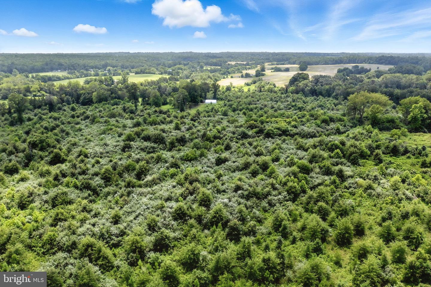 18172 YOUNGS LN, ELKWOOD, Virginia 22718, 3 Bedrooms Bedrooms, ,1 BathroomBathrooms,Residential,For sale,18172 YOUNGS LN,VACU2012788 MLS # VACU2012788 18172 YOUNGS LN, ELKWOOD, Virginia 22718, 3 Bedrooms Bedrooms, ,1 BathroomBathrooms,Residential,For sale,18172 YOUNGS LN,VACU2012788 MLS # VACU2012788