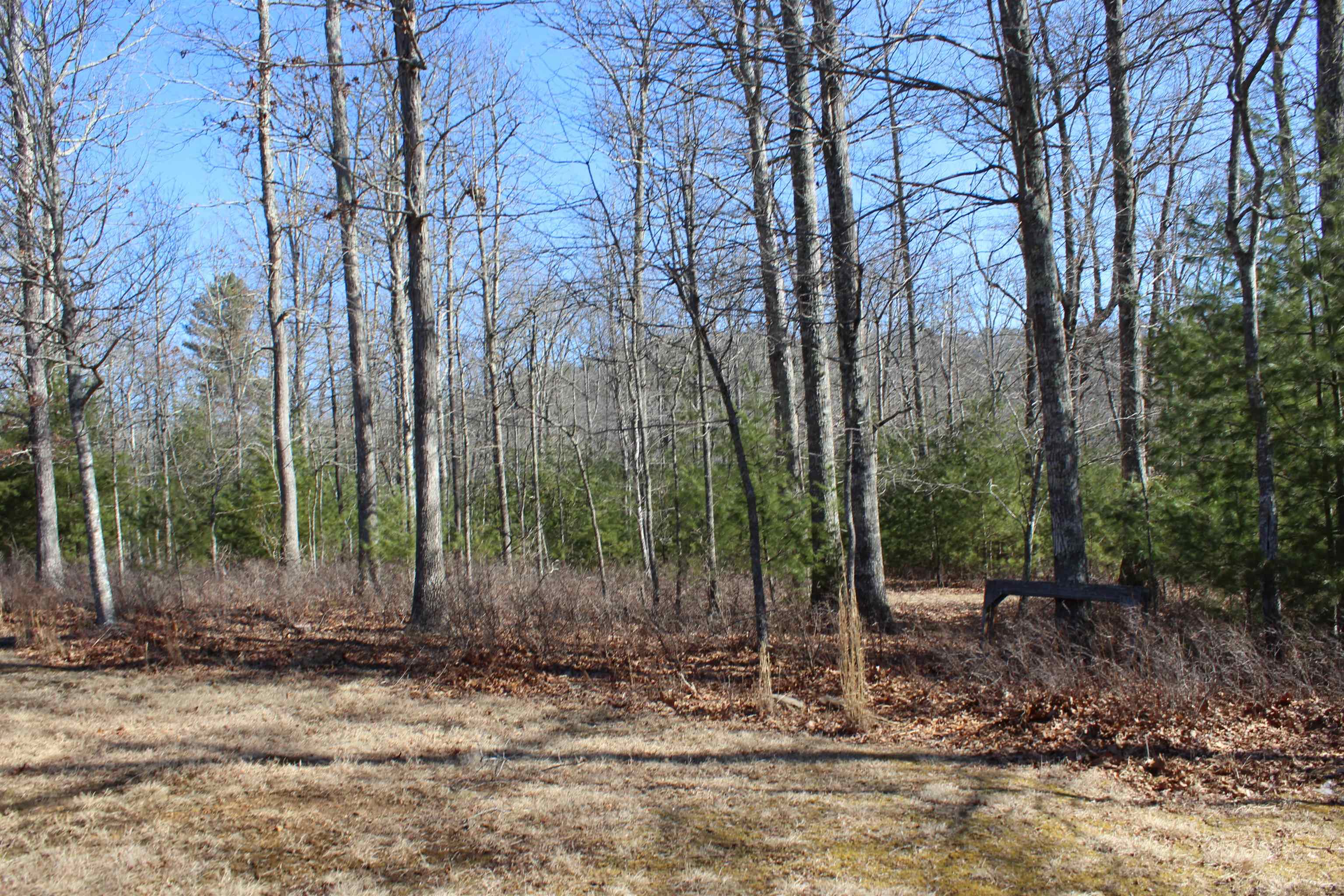 625 HUMMINGBIRD LN, MONTEREY, Virginia 24465, 3 Bedrooms Bedrooms, ,3 BathroomsBathrooms,Residential,Hummingbird get-a-way,625 HUMMINGBIRD LN,673771 MLS # 673771 625 HUMMINGBIRD LN, MONTEREY, Virginia 24465, 3 Bedrooms Bedrooms, ,3 BathroomsBathrooms,Residential,Hummingbird get-a-way,625 HUMMINGBIRD LN,673771 MLS # 673771