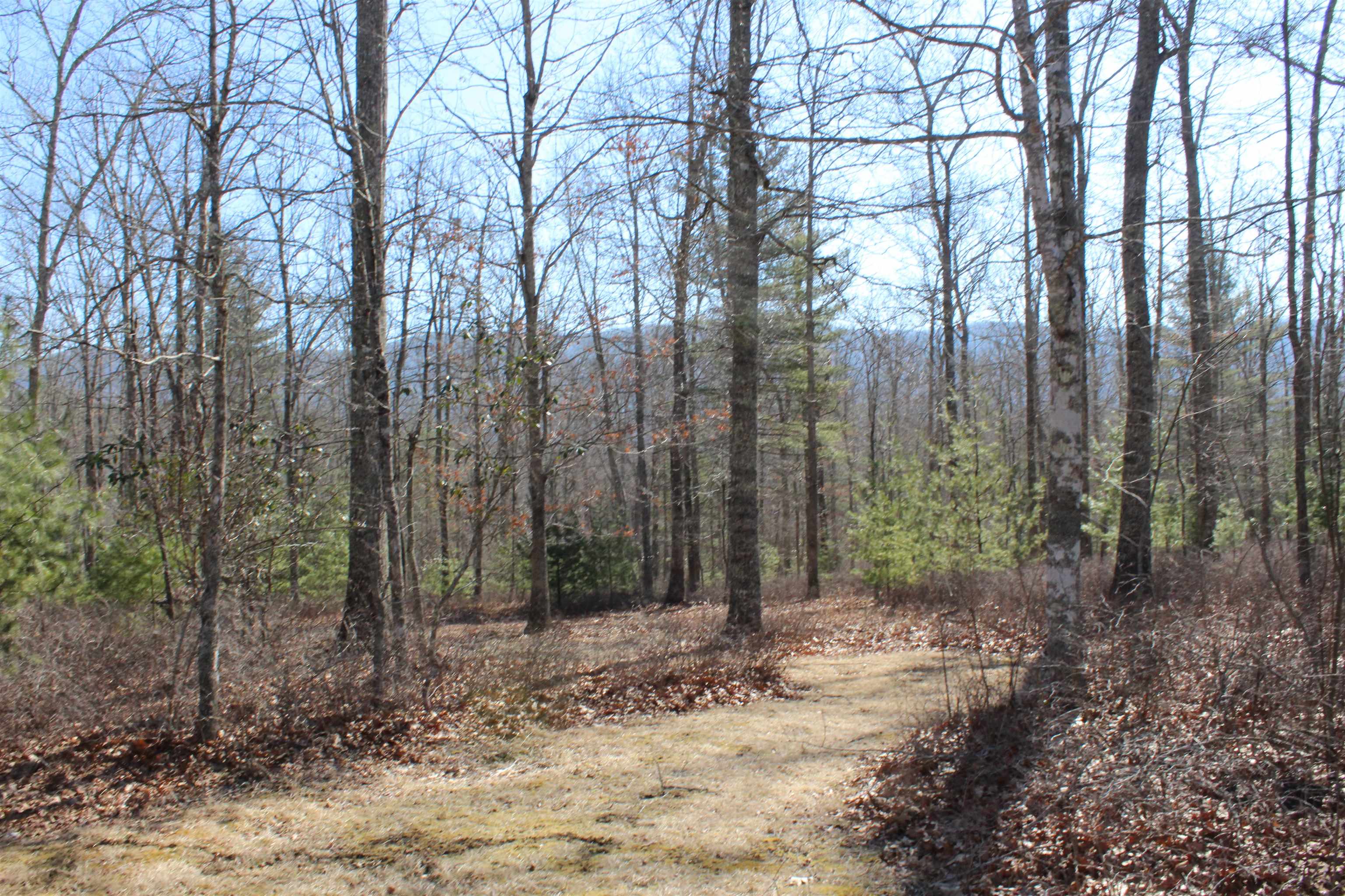 625 HUMMINGBIRD LN, MONTEREY, Virginia 24465, 3 Bedrooms Bedrooms, ,3 BathroomsBathrooms,Residential,Hummingbird get-a-way,625 HUMMINGBIRD LN,673771 MLS # 673771 625 HUMMINGBIRD LN, MONTEREY, Virginia 24465, 3 Bedrooms Bedrooms, ,3 BathroomsBathrooms,Residential,Hummingbird get-a-way,625 HUMMINGBIRD LN,673771 MLS # 673771