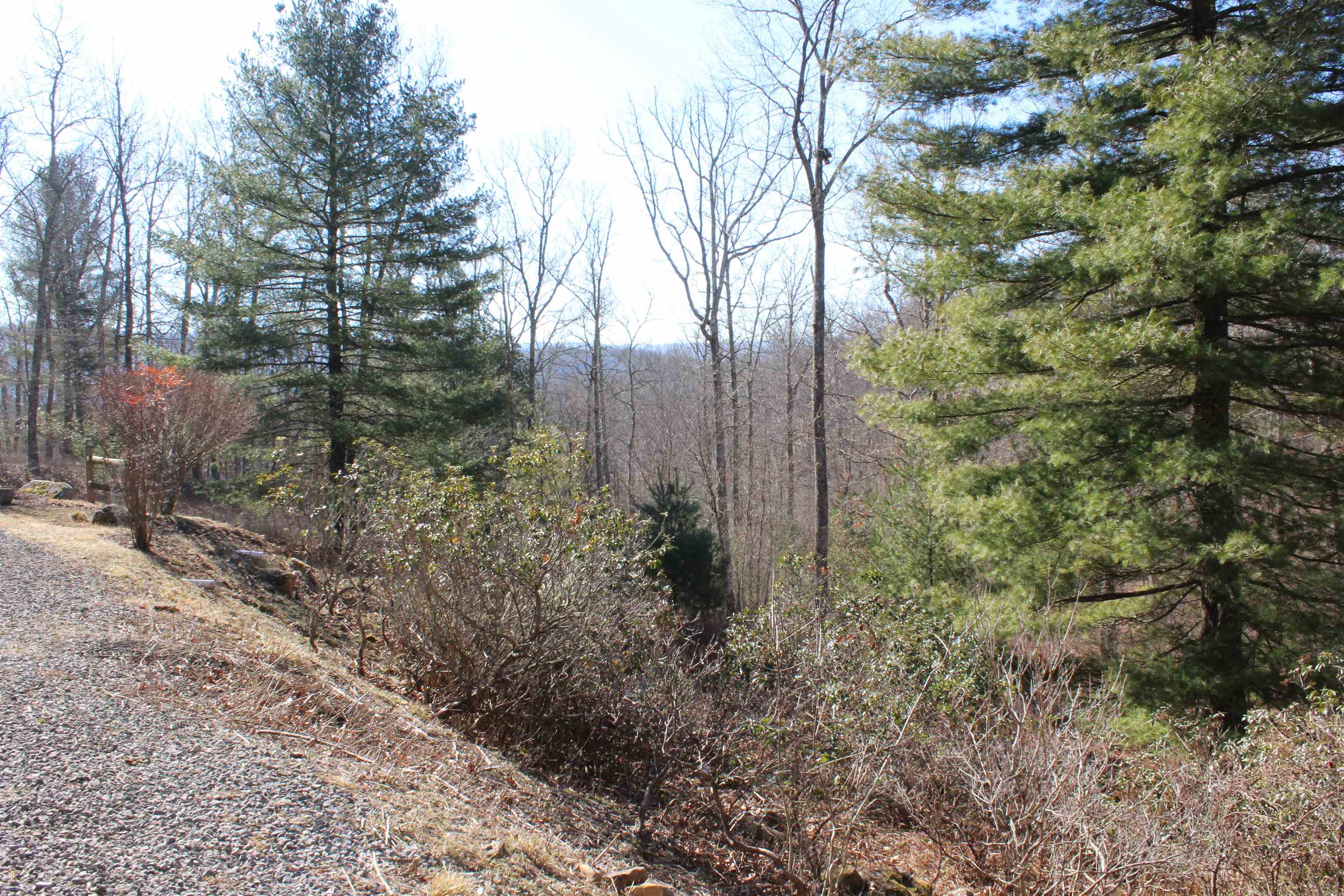 625 HUMMINGBIRD LN, MONTEREY, Virginia 24465, 3 Bedrooms Bedrooms, ,3 BathroomsBathrooms,Residential,Hummingbird get-a-way,625 HUMMINGBIRD LN,673771 MLS # 673771 625 HUMMINGBIRD LN, MONTEREY, Virginia 24465, 3 Bedrooms Bedrooms, ,3 BathroomsBathrooms,Residential,Hummingbird get-a-way,625 HUMMINGBIRD LN,673771 MLS # 673771