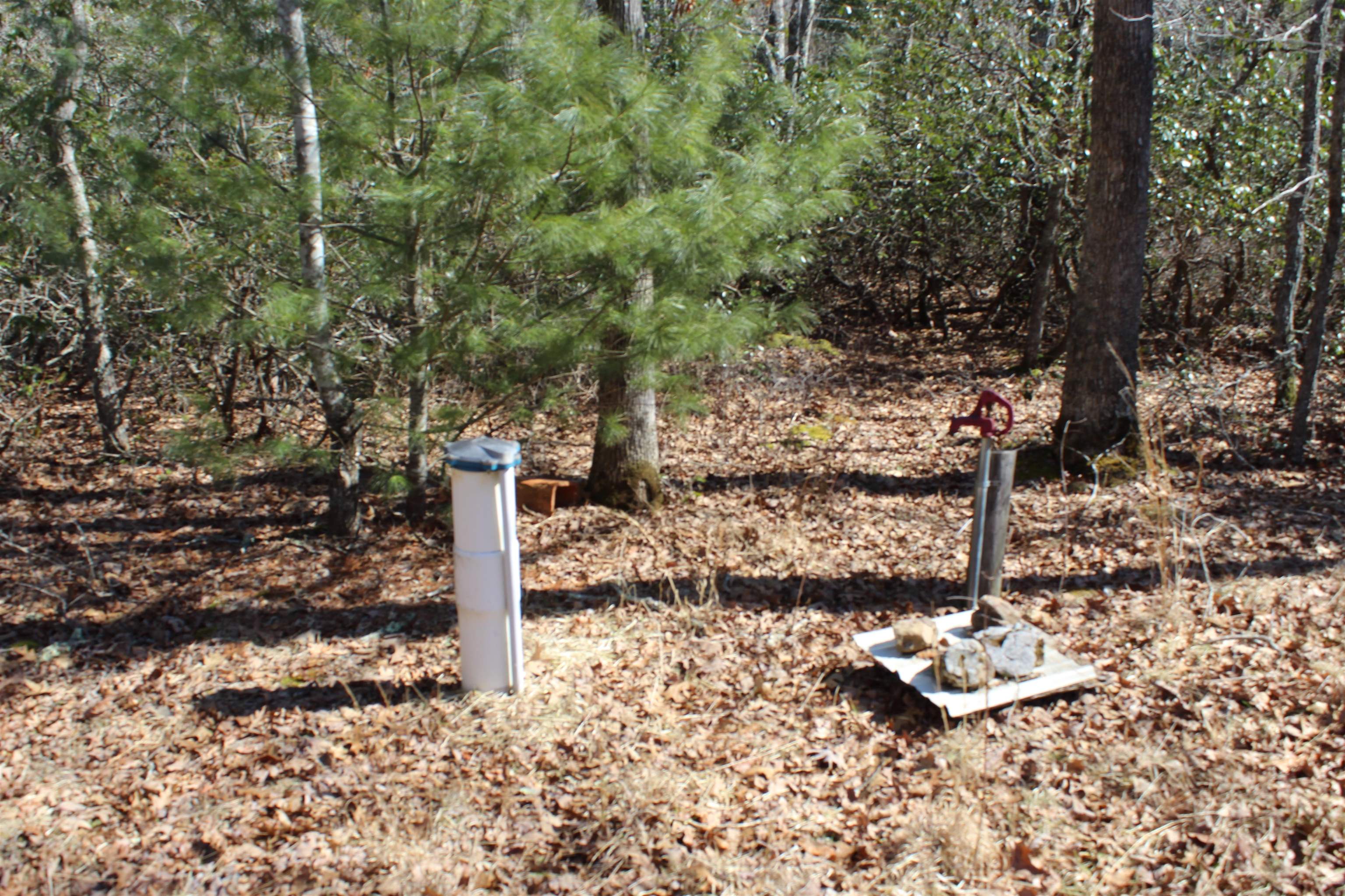 625 HUMMINGBIRD LN, MONTEREY, Virginia 24465, 3 Bedrooms Bedrooms, ,3 BathroomsBathrooms,Residential,Hummingbird get-a-way,625 HUMMINGBIRD LN,673771 MLS # 673771 625 HUMMINGBIRD LN, MONTEREY, Virginia 24465, 3 Bedrooms Bedrooms, ,3 BathroomsBathrooms,Residential,Hummingbird get-a-way,625 HUMMINGBIRD LN,673771 MLS # 673771