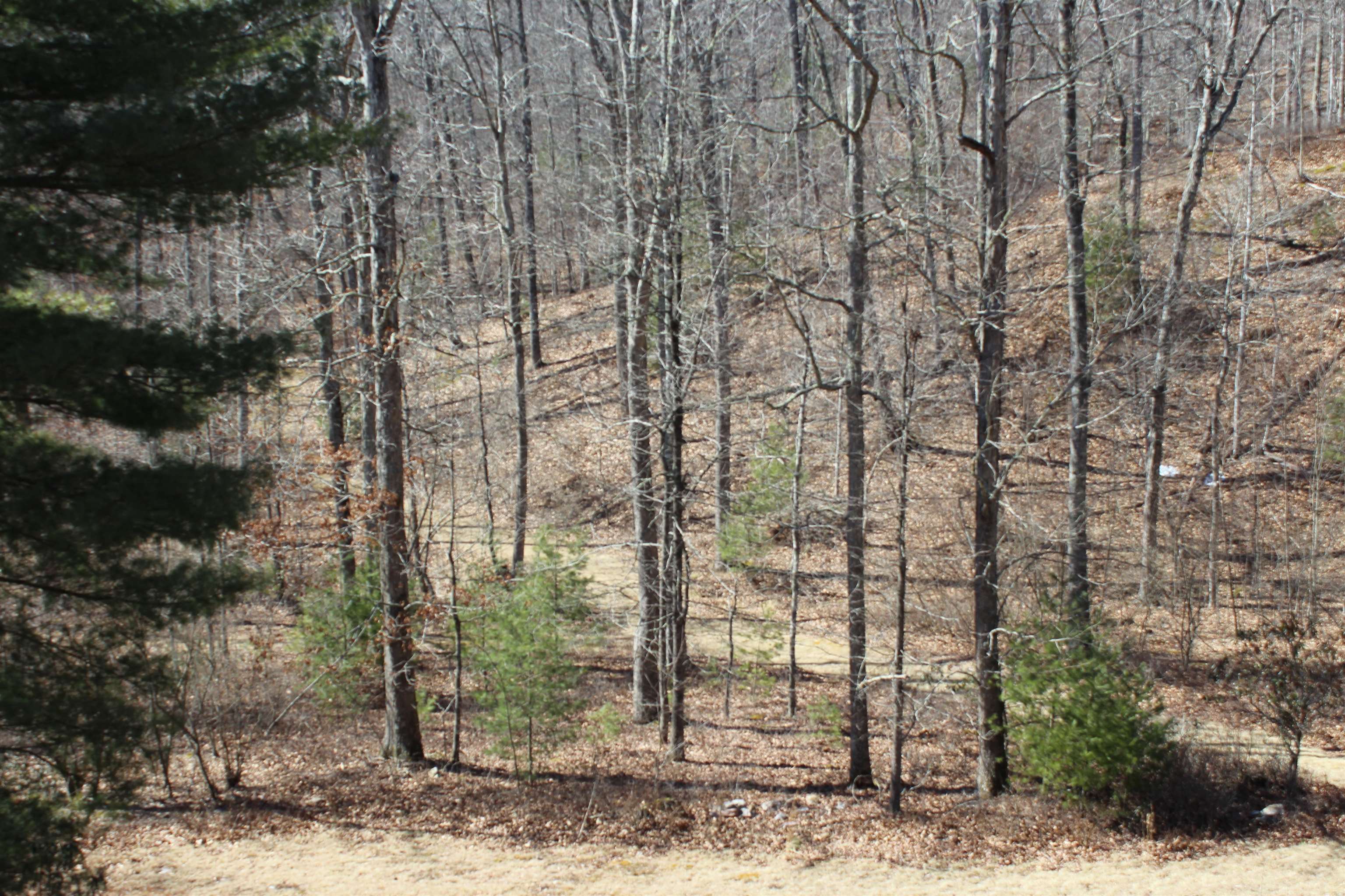 625 HUMMINGBIRD LN, MONTEREY, Virginia 24465, 3 Bedrooms Bedrooms, ,3 BathroomsBathrooms,Residential,Hummingbird get-a-way,625 HUMMINGBIRD LN,673771 MLS # 673771 625 HUMMINGBIRD LN, MONTEREY, Virginia 24465, 3 Bedrooms Bedrooms, ,3 BathroomsBathrooms,Residential,Hummingbird get-a-way,625 HUMMINGBIRD LN,673771 MLS # 673771