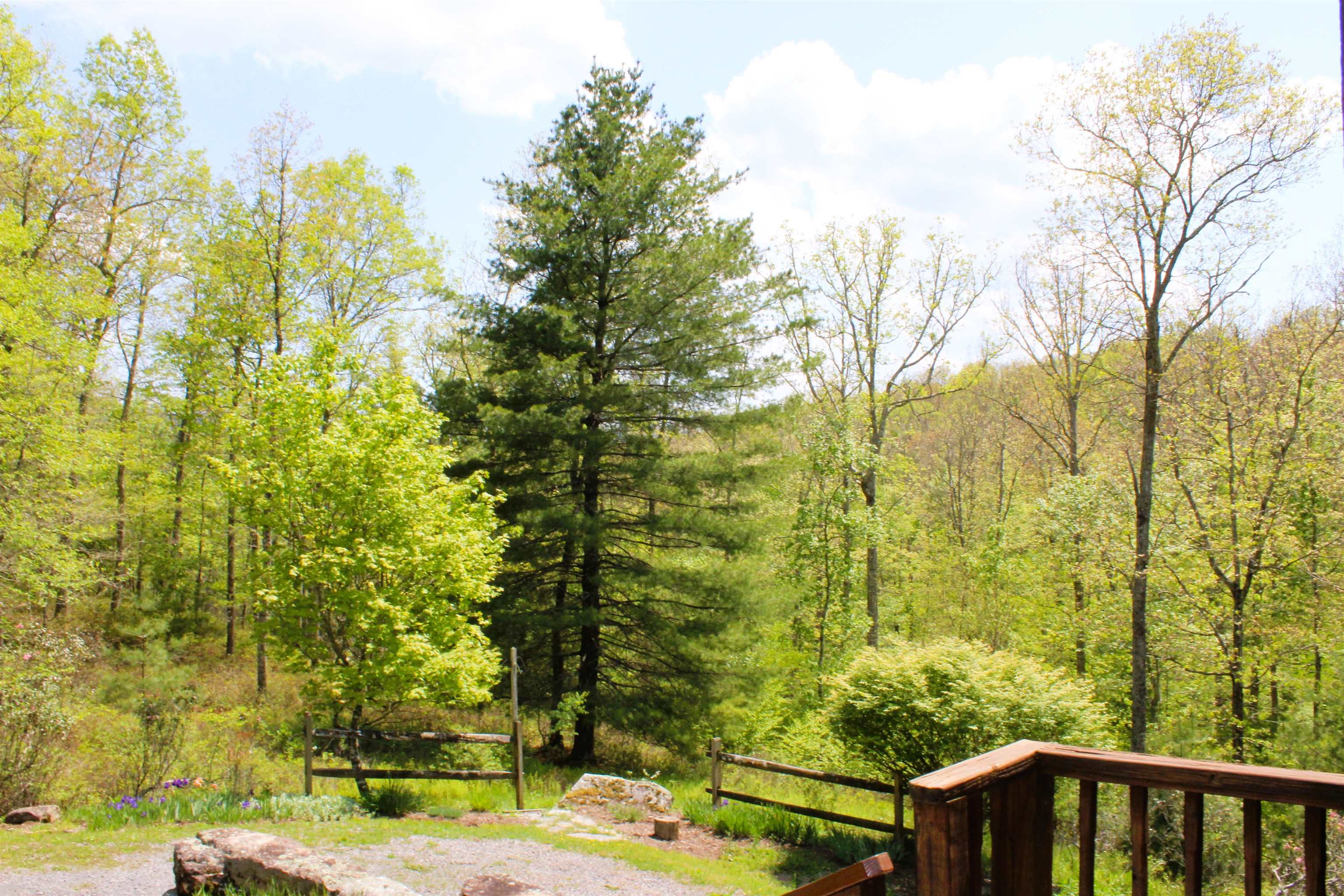 625 HUMMINGBIRD LN, MONTEREY, Virginia 24465, 3 Bedrooms Bedrooms, ,3 BathroomsBathrooms,Residential,Hummingbird get-a-way,625 HUMMINGBIRD LN,673771 MLS # 673771