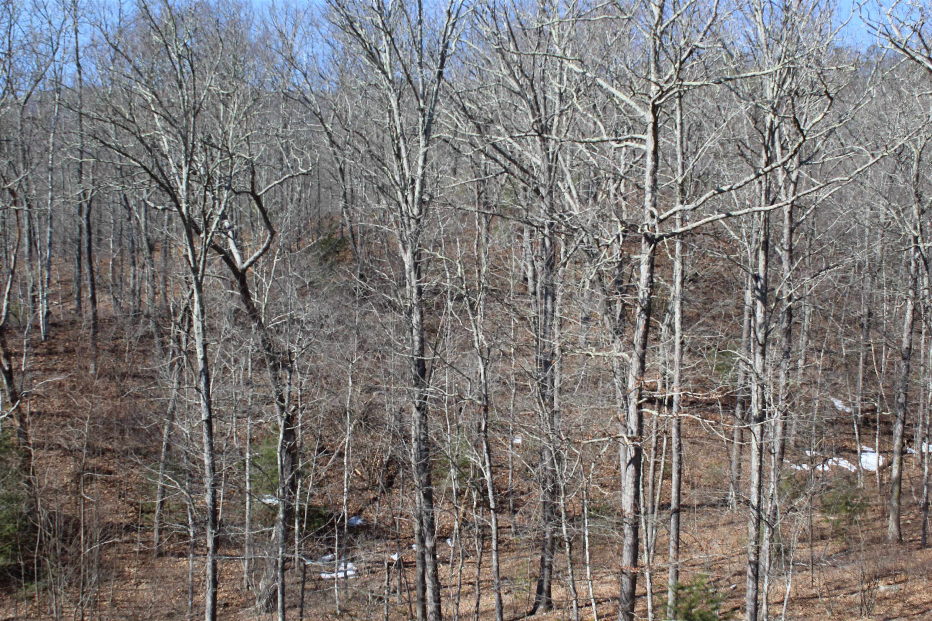 625 HUMMINGBIRD LN, MONTEREY, Virginia 24465, 3 Bedrooms Bedrooms, ,3 BathroomsBathrooms,Residential,Hummingbird get-a-way,625 HUMMINGBIRD LN,673771 MLS # 673771 625 HUMMINGBIRD LN, MONTEREY, Virginia 24465, 3 Bedrooms Bedrooms, ,3 BathroomsBathrooms,Residential,Hummingbird get-a-way,625 HUMMINGBIRD LN,673771 MLS # 673771