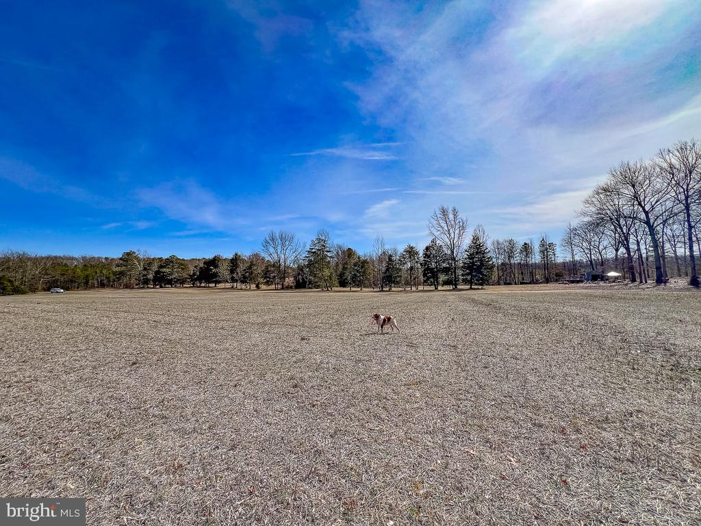 49.26 ACRES JERICHO RD, RUTHER GLEN, Virginia 22546, ,Land,For sale,49.26 ACRES JERICHO RD,VACV2009540 MLS # VACV2009540