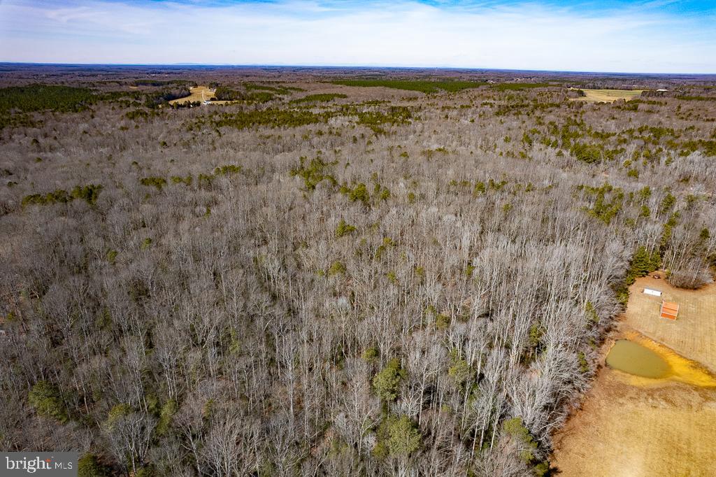 49.26 ACRES JERICHO RD, RUTHER GLEN, Virginia 22546, ,Land,For sale,49.26 ACRES JERICHO RD,VACV2009540 MLS # VACV2009540