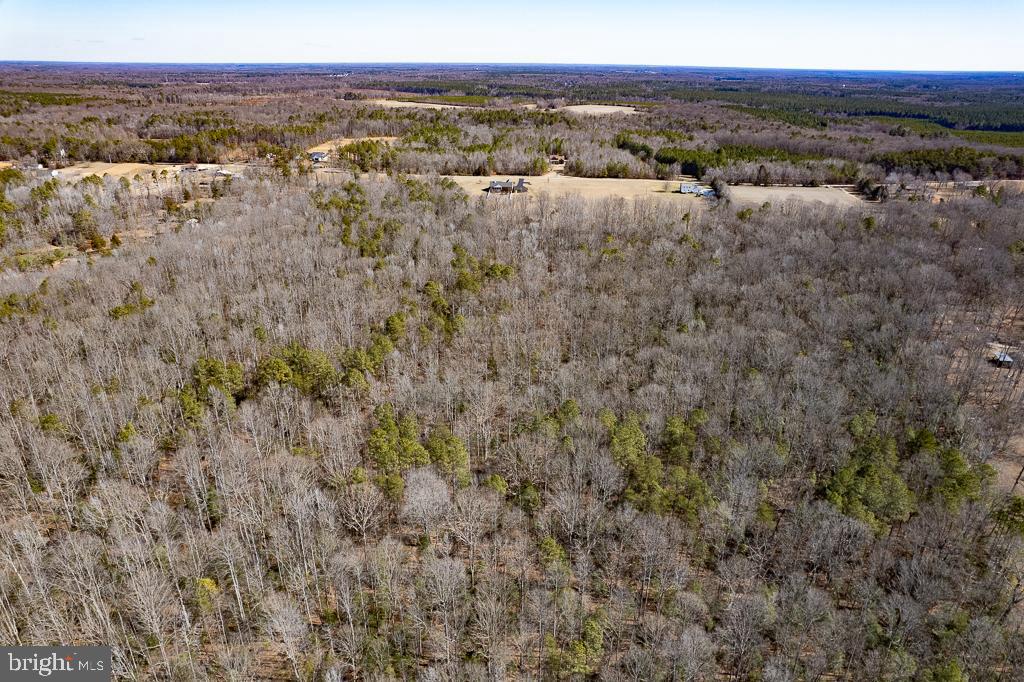 49.26 ACRES JERICHO RD, RUTHER GLEN, Virginia 22546, ,Land,For sale,49.26 ACRES JERICHO RD,VACV2009540 MLS # VACV2009540
