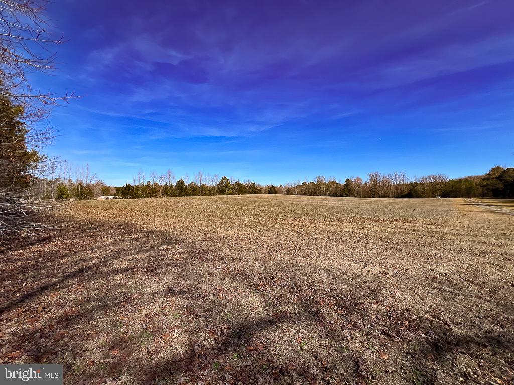 49.26 ACRES JERICHO RD, RUTHER GLEN, Virginia 22546, ,Land,For sale,49.26 ACRES JERICHO RD,VACV2009540 MLS # VACV2009540
