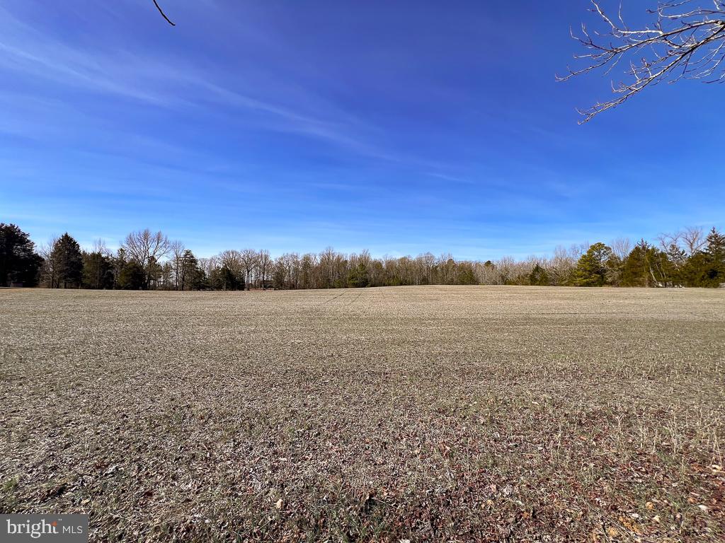 49.26 ACRES JERICHO RD, RUTHER GLEN, Virginia 22546, ,Land,For sale,49.26 ACRES JERICHO RD,VACV2009540 MLS # VACV2009540