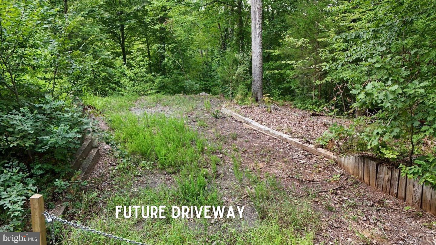 6170 TURKEY RUN CT, MANASSAS, Virginia 20112, ,Land,For sale,6170 TURKEY RUN CT,VAPW2113432 MLS # VAPW2113432 6170 TURKEY RUN CT, MANASSAS, Virginia 20112, ,Land,For sale,6170 TURKEY RUN CT,VAPW2113432 MLS # VAPW2113432