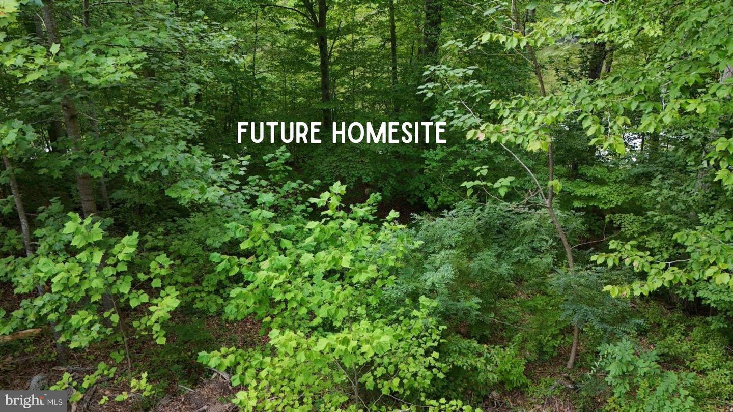 6170 TURKEY RUN CT, MANASSAS, Virginia 20112, ,Land,For sale,6170 TURKEY RUN CT,VAPW2113432 MLS # VAPW2113432 6170 TURKEY RUN CT, MANASSAS, Virginia 20112, ,Land,For sale,6170 TURKEY RUN CT,VAPW2113432 MLS # VAPW2113432