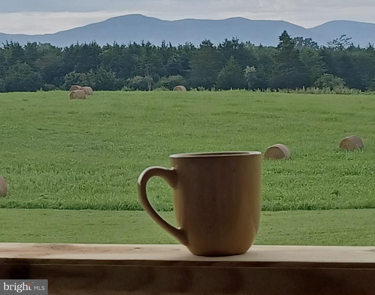 1195 MOUNTAIN VIEW DR, RILEYVILLE, Virginia 22650, 3 Bedrooms Bedrooms, 8 Rooms Rooms,2 BathroomsBathrooms,Residential,For sale,1195 MOUNTAIN VIEW DR,VAPA2006062 MLS # VAPA2006062 1195 MOUNTAIN VIEW DR, RILEYVILLE, Virginia 22650, 3 Bedrooms Bedrooms, 8 Rooms Rooms,2 BathroomsBathrooms,Residential,For sale,1195 MOUNTAIN VIEW DR,VAPA2006062 MLS # VAPA2006062