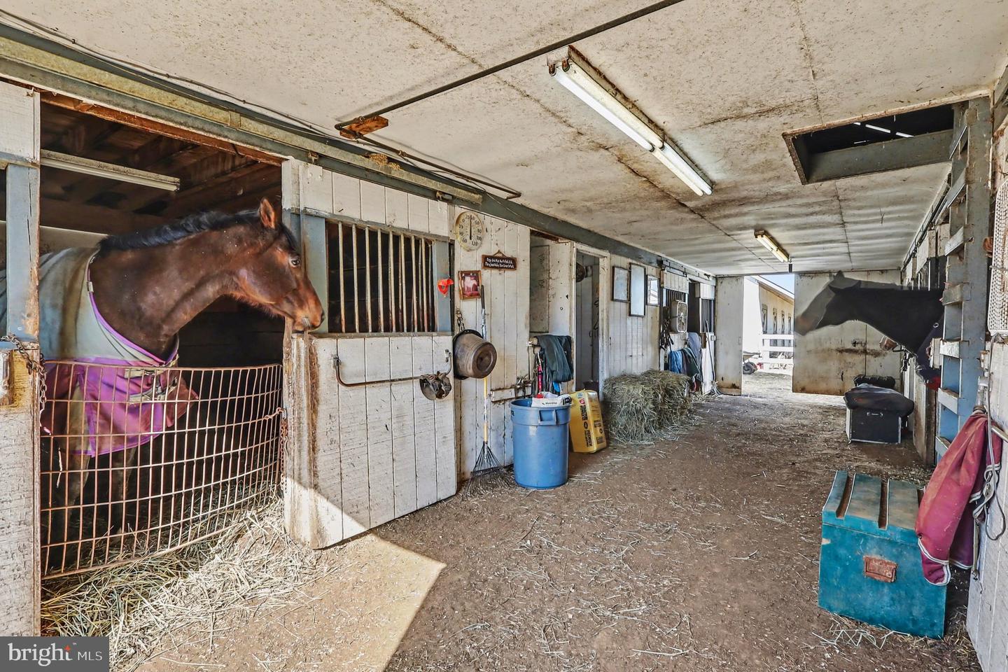 22244 SAM FRED RD, MIDDLEBURG, Virginia 20117, 3 Bedrooms Bedrooms, ,3 BathroomsBathrooms,Residential,For sale,22244 SAM FRED RD,VALO2116714 MLS # VALO2116714