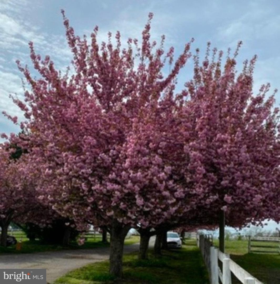 22244 SAM FRED RD, MIDDLEBURG, Virginia 20117, 3 Bedrooms Bedrooms, ,3 BathroomsBathrooms,Farm,For sale,22244 SAM FRED RD,VALO2116974 MLS # VALO2116974