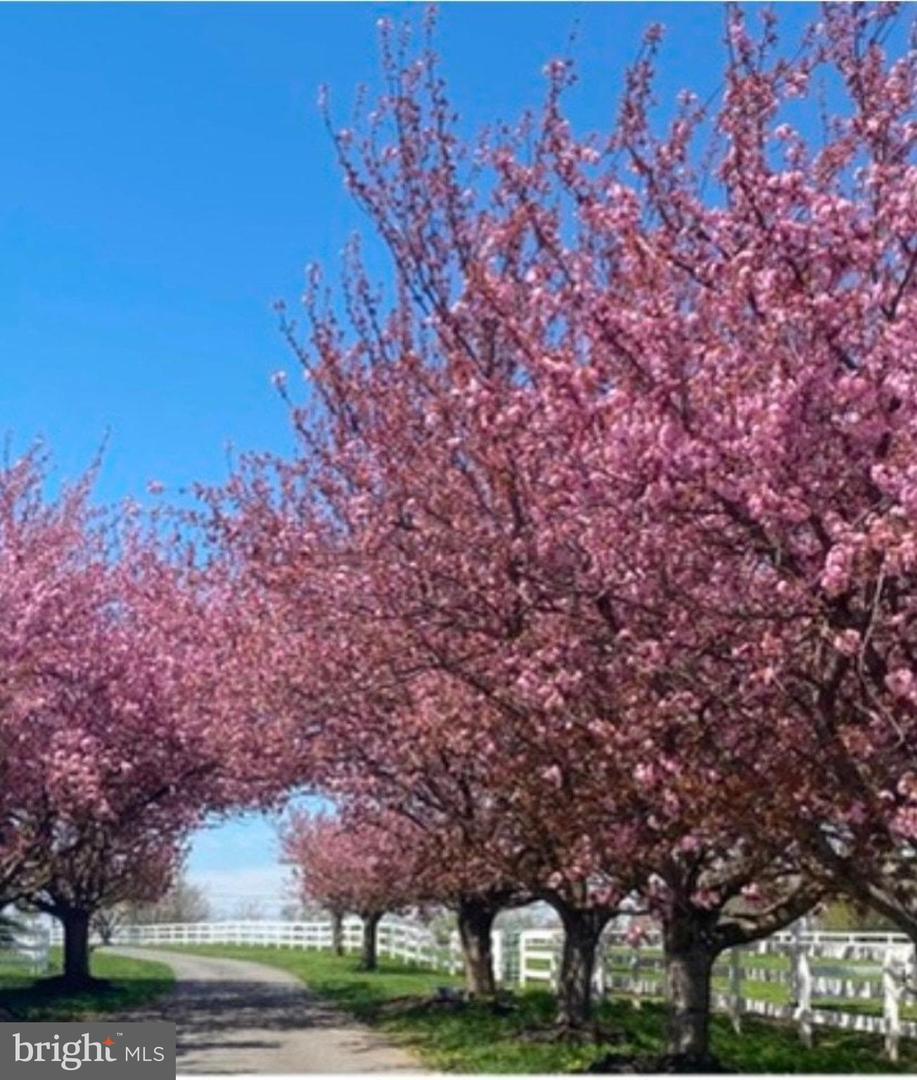 22244 SAM FRED RD, MIDDLEBURG, Virginia 20117, 3 Bedrooms Bedrooms, ,3 BathroomsBathrooms,Farm,For sale,22244 SAM FRED RD,VALO2116974 MLS # VALO2116974