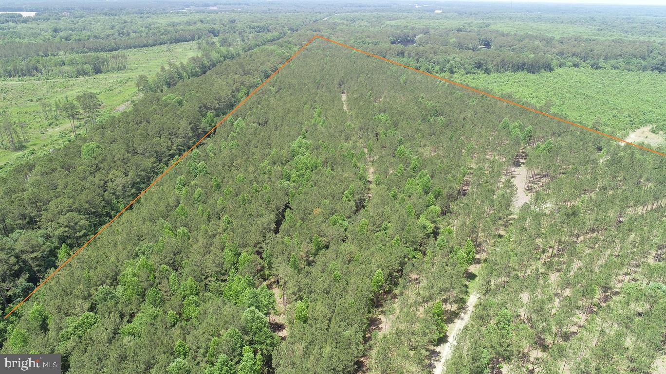 OLD BRIDGE ROAD (RT. 742) (TRACT: BLOCK 16 NORTH), COURTLAND, Virginia 23837, ,Farm,For sale,OLD BRIDGE ROAD (RT. 742) (TRACT: BLOCK 16 NORTH),VASU2000016 MLS # VASU2000016