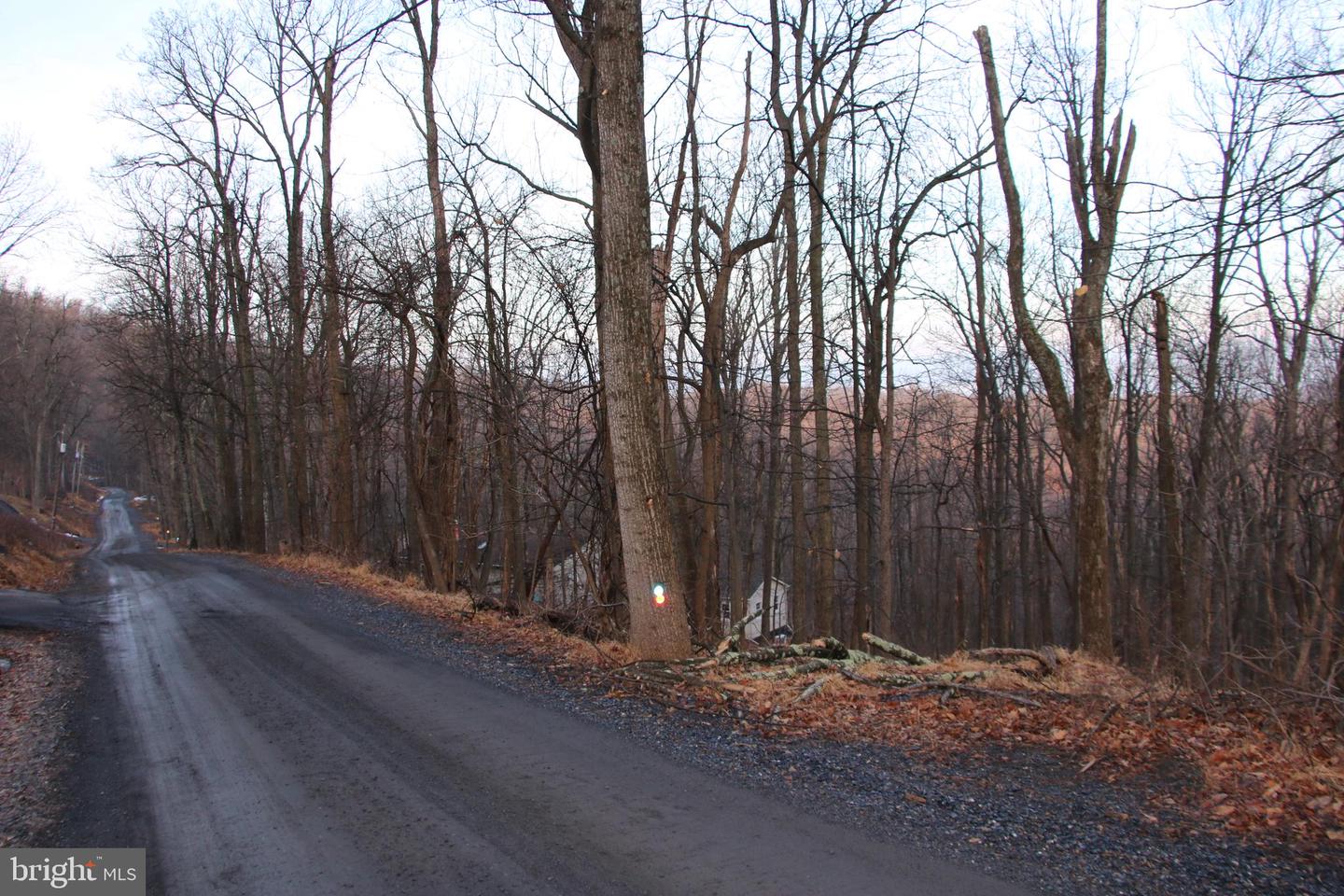 WINDY WAY, FRONT ROYAL, Virginia 22630, ,Land,For sale,WINDY WAY,VAWR2013350 MLS # VAWR2013350