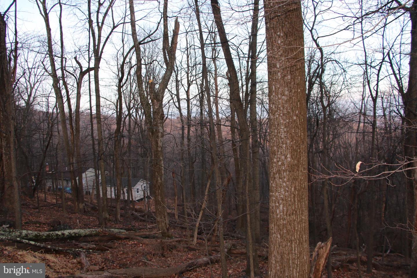 WINDY WAY, FRONT ROYAL, Virginia 22630, ,Land,For sale,WINDY WAY,VAWR2013350 MLS # VAWR2013350