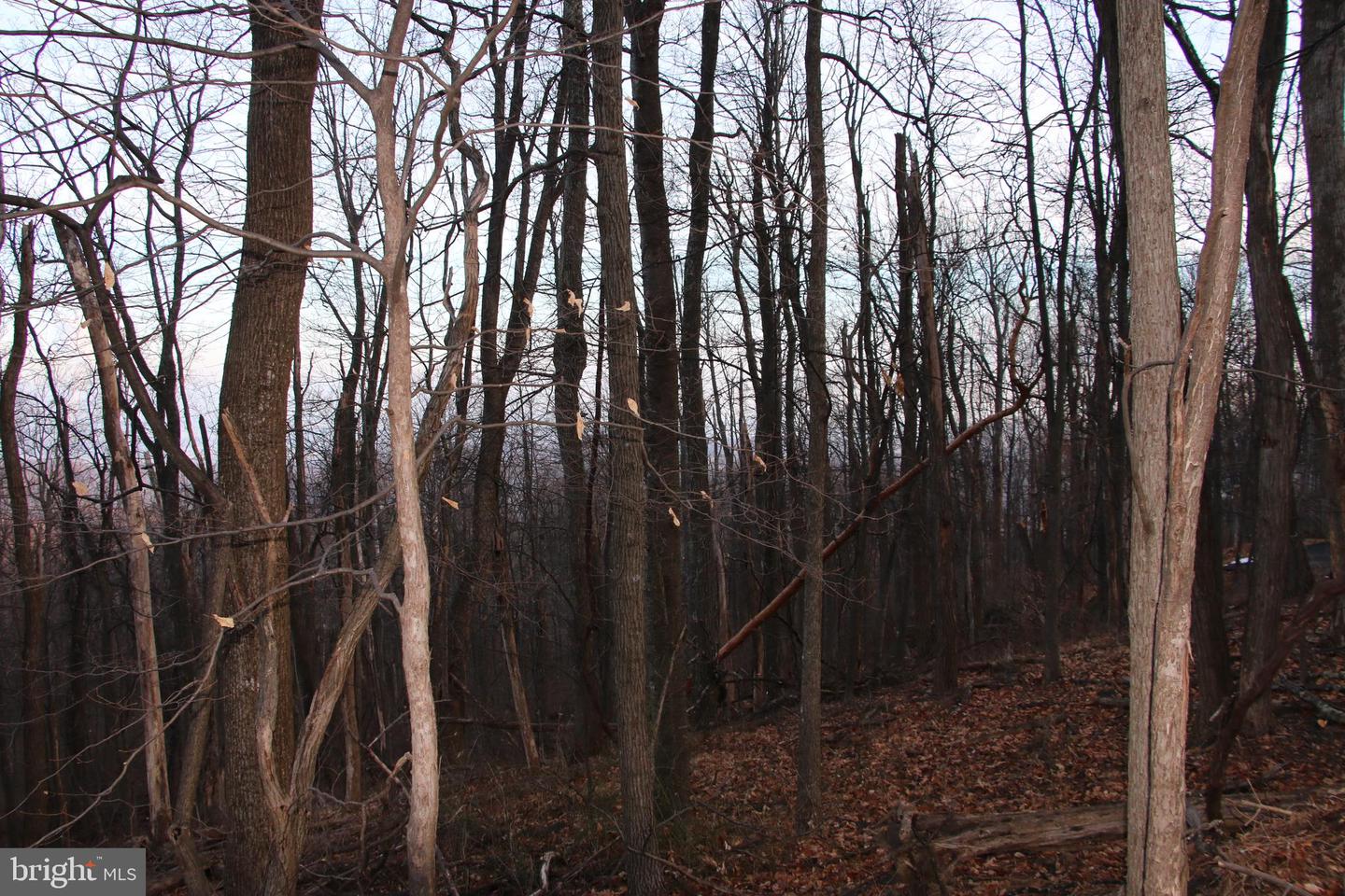 WINDY WAY, FRONT ROYAL, Virginia 22630, ,Land,For sale,WINDY WAY,VAWR2013350 MLS # VAWR2013350