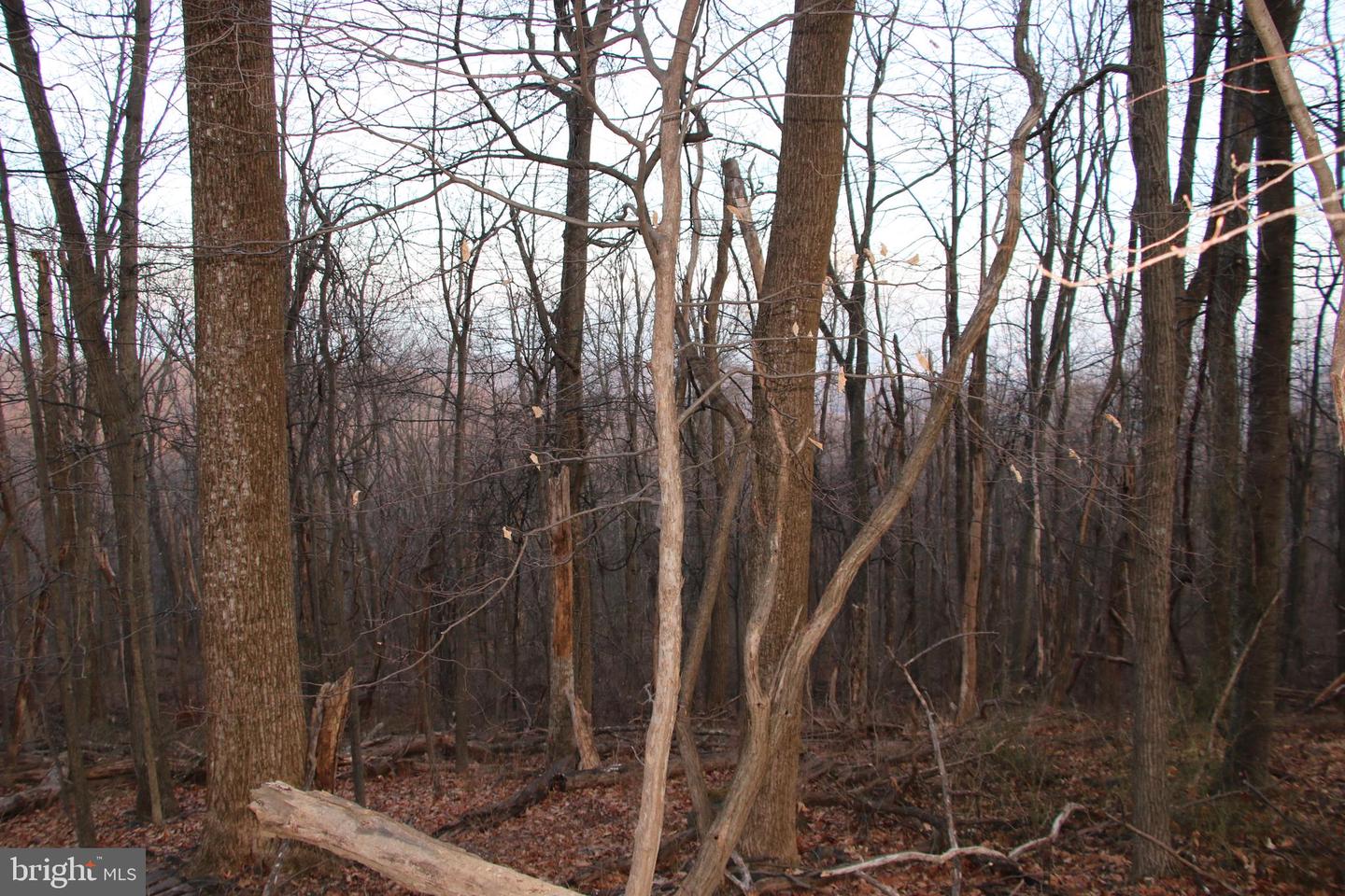 WINDY WAY, FRONT ROYAL, Virginia 22630, ,Land,For sale,WINDY WAY,VAWR2013350 MLS # VAWR2013350