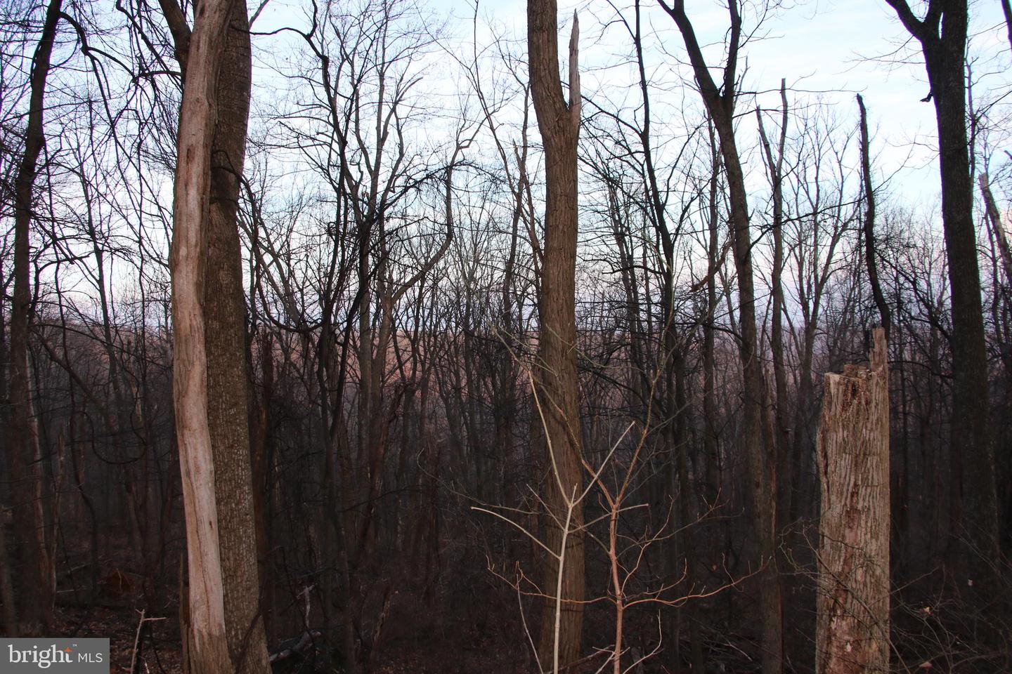 WINDY WAY, FRONT ROYAL, Virginia 22630, ,Land,For sale,WINDY WAY,VAWR2013350 MLS # VAWR2013350