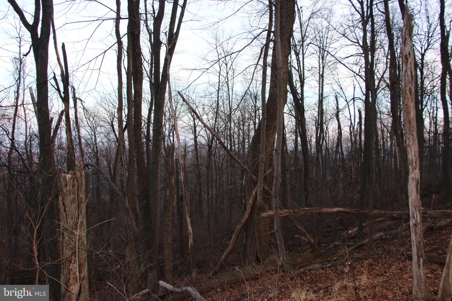 WINDY WAY, FRONT ROYAL, Virginia 22630, ,Land,For sale,WINDY WAY,VAWR2013350 MLS # VAWR2013350