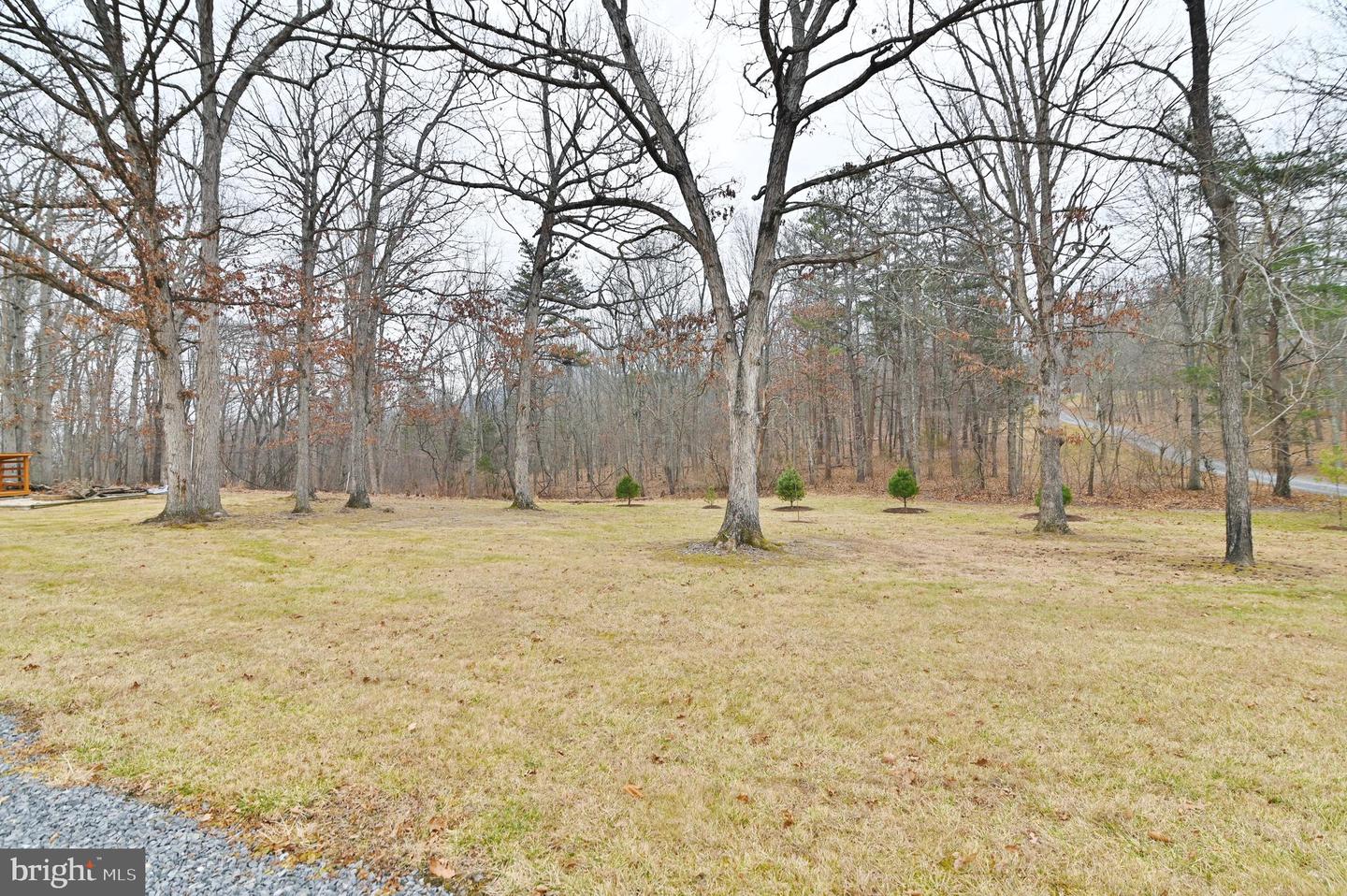 67 PLUM TREE LN, FORT VALLEY, Virginia 22652, 3 Bedrooms Bedrooms, 9 Rooms Rooms,2 BathroomsBathrooms,Residential,For sale,67 PLUM TREE LN,VASH2013282 MLS # VASH2013282 67 PLUM TREE LN, FORT VALLEY, Virginia 22652, 3 Bedrooms Bedrooms, 9 Rooms Rooms,2 BathroomsBathrooms,Residential,For sale,67 PLUM TREE LN,VASH2013282 MLS # VASH2013282