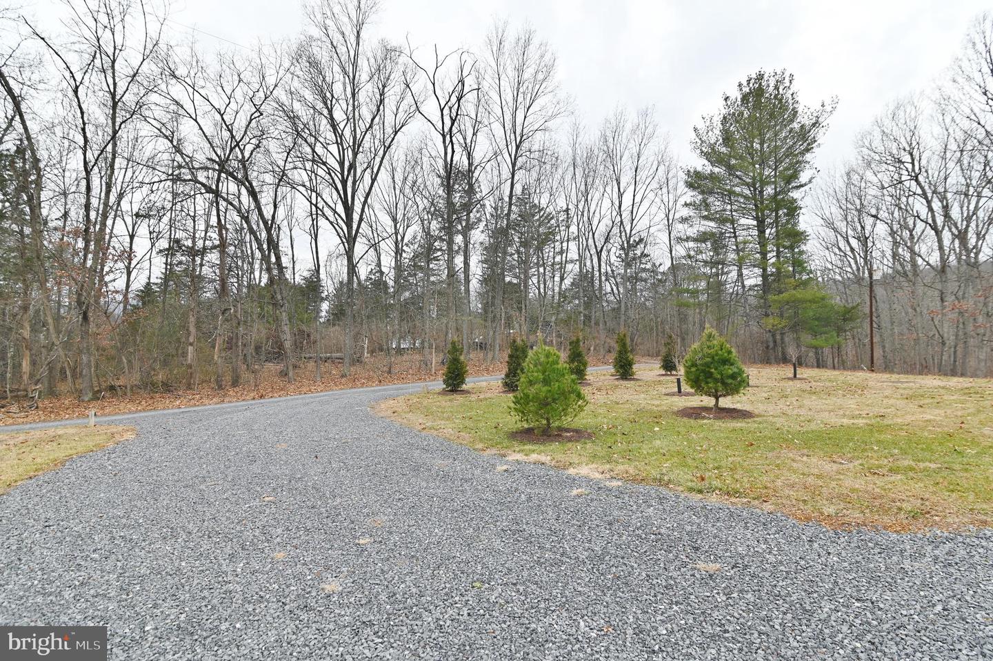 67 PLUM TREE LN, FORT VALLEY, Virginia 22652, 3 Bedrooms Bedrooms, 9 Rooms Rooms,2 BathroomsBathrooms,Residential,For sale,67 PLUM TREE LN,VASH2013282 MLS # VASH2013282 67 PLUM TREE LN, FORT VALLEY, Virginia 22652, 3 Bedrooms Bedrooms, 9 Rooms Rooms,2 BathroomsBathrooms,Residential,For sale,67 PLUM TREE LN,VASH2013282 MLS # VASH2013282