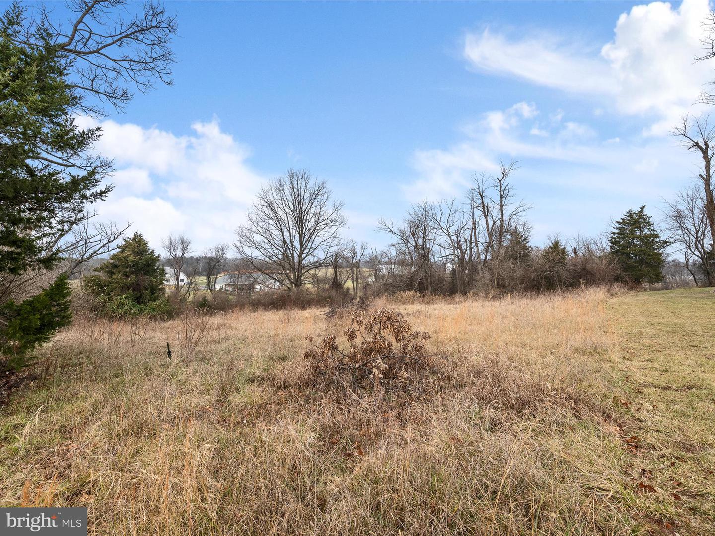 LOT 4 CARTERS LN, STEPHENS CITY, Virginia 22655, ,Land,For sale,LOT 4 CARTERS LN,VAFV2039834 MLS # VAFV2039834