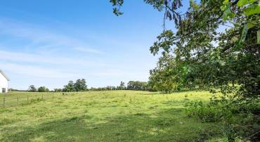 LOT 7 CARTERS LN, STEPHENS CITY, Virginia 22655, ,Land,For sale,LOT 7 CARTERS LN,VAFV2039836 MLS # VAFV2039836