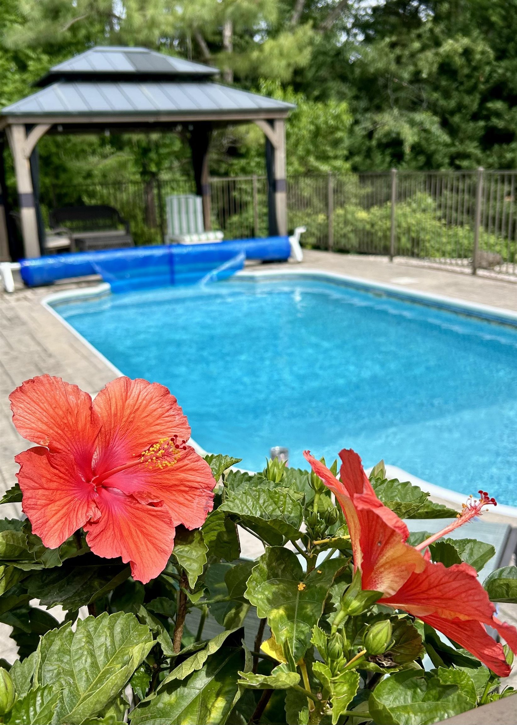 4260 AJAX CT, ROCKINGHAM, Virginia 22801, 5 Bedrooms Bedrooms, ,4 BathroomsBathrooms,Residential,4260 AJAX CT,673780 MLS # 673780